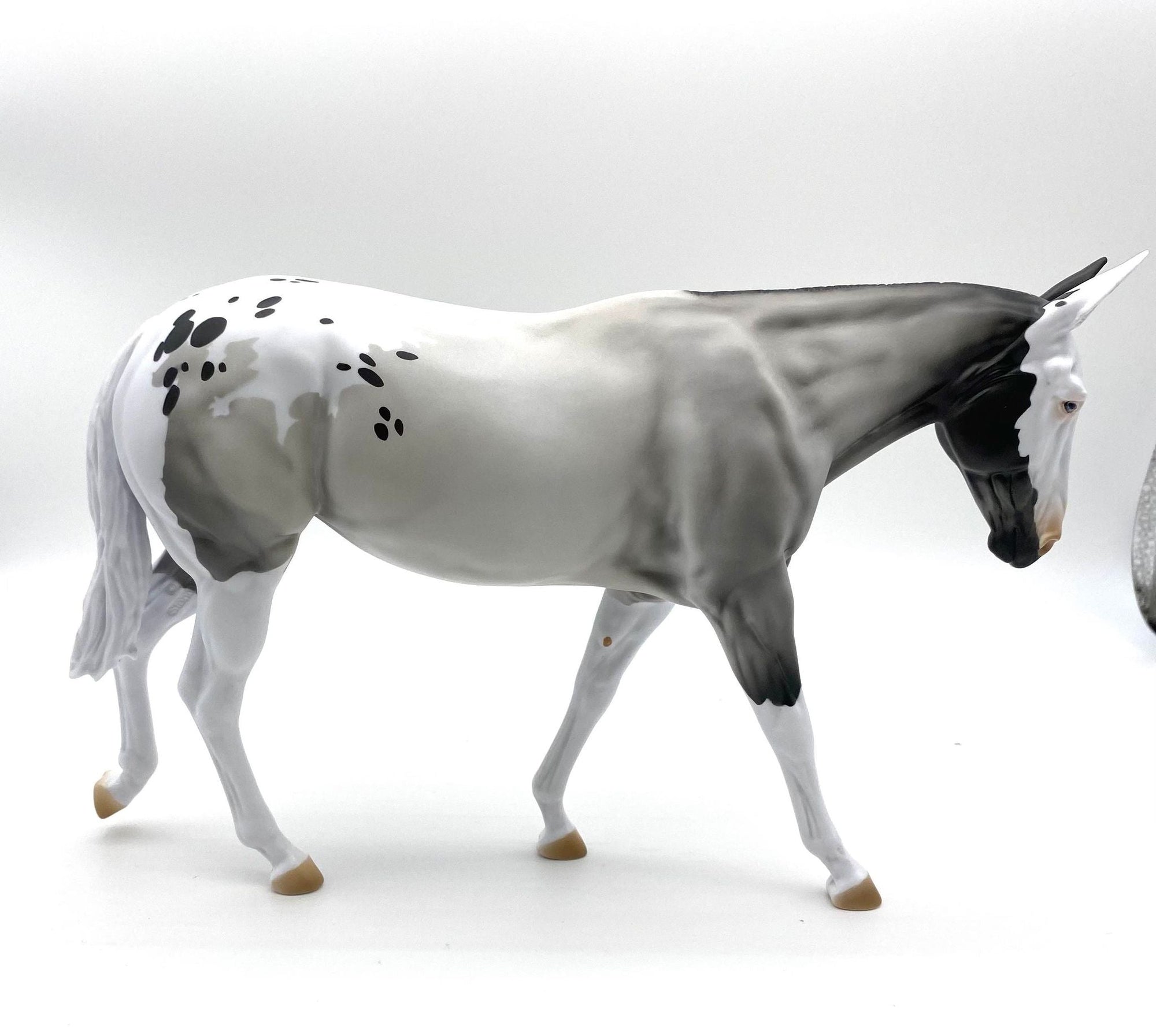 LOYALTY MEMEBERS !!!!!!!!! ONLY!!!!!!!!!!!! RELEASE - ECLIPSE MULE BLACK FRIDAY 2021