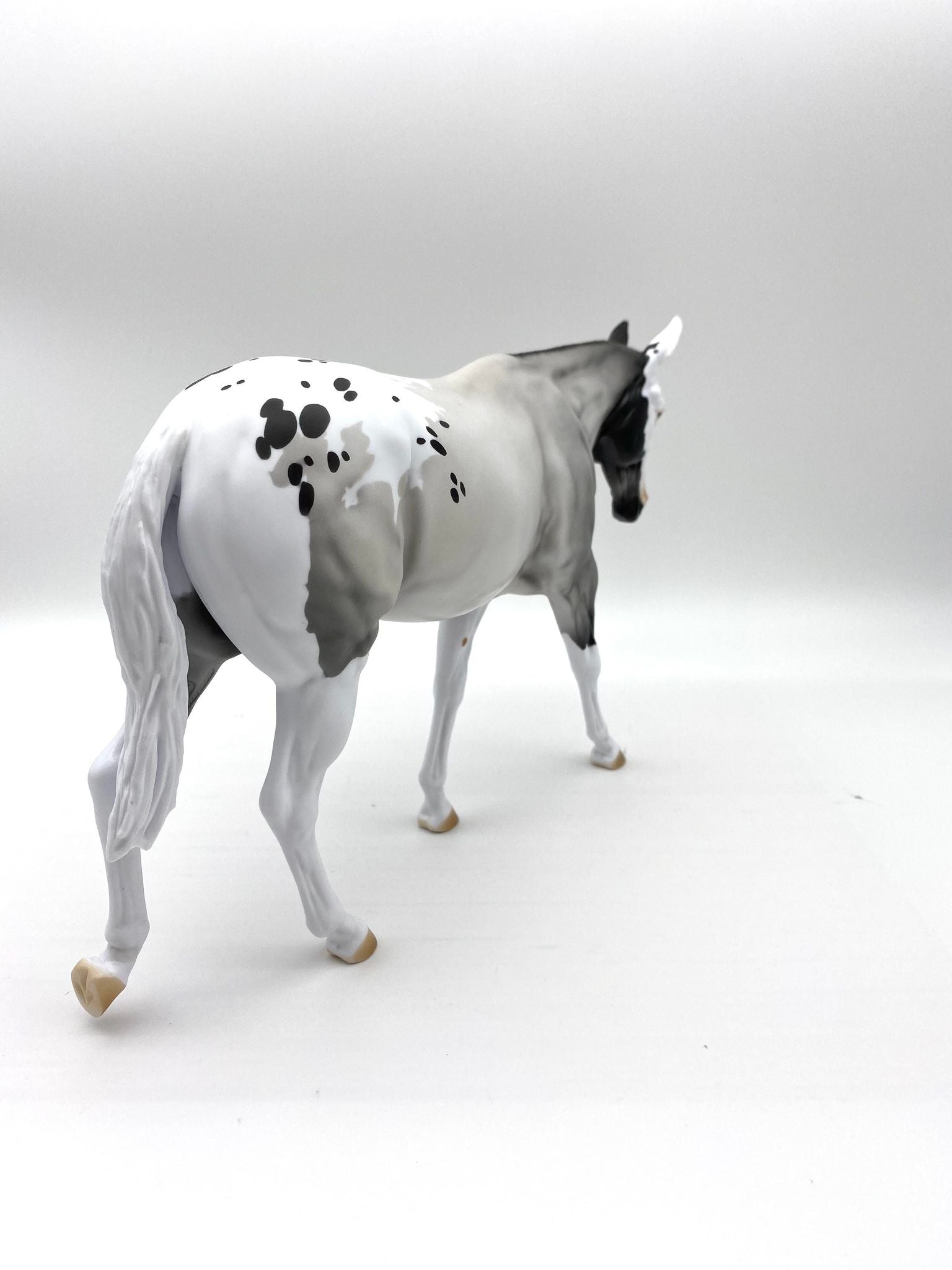 LOYALTY MEMEBERS !!!!!!!!! ONLY!!!!!!!!!!!! RELEASE - ECLIPSE MULE BLACK FRIDAY 2021