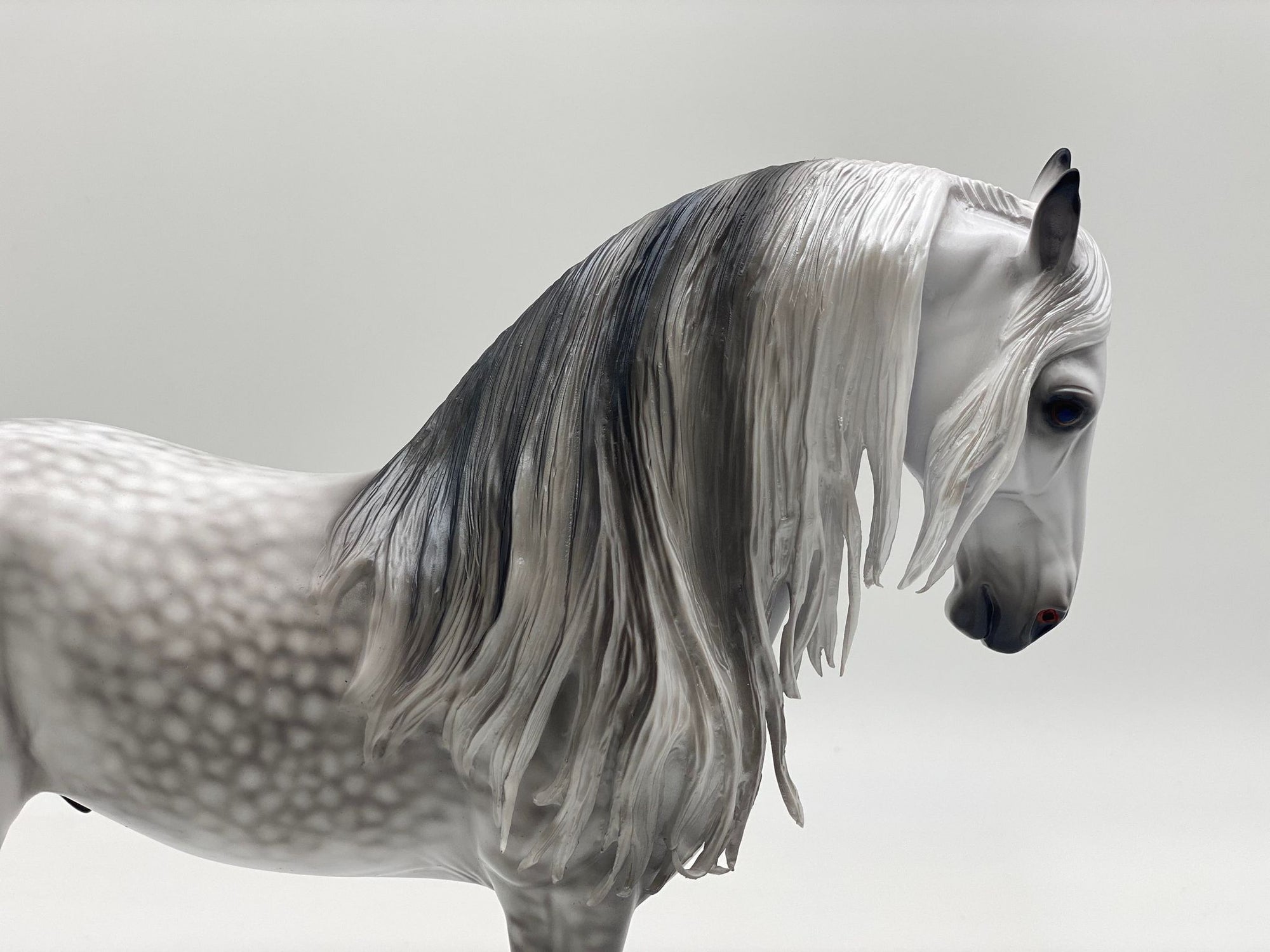 Canturbury-OOAK Star Dapple Grey Andalusian Painted by Caroline Boydston 8/1/22