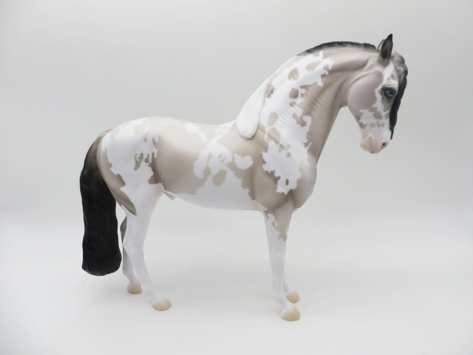 Don Quixote - LE 30 - Grulla Pinto Andalusian By Ellen Robbins Classic Literature Series 2023 CL23