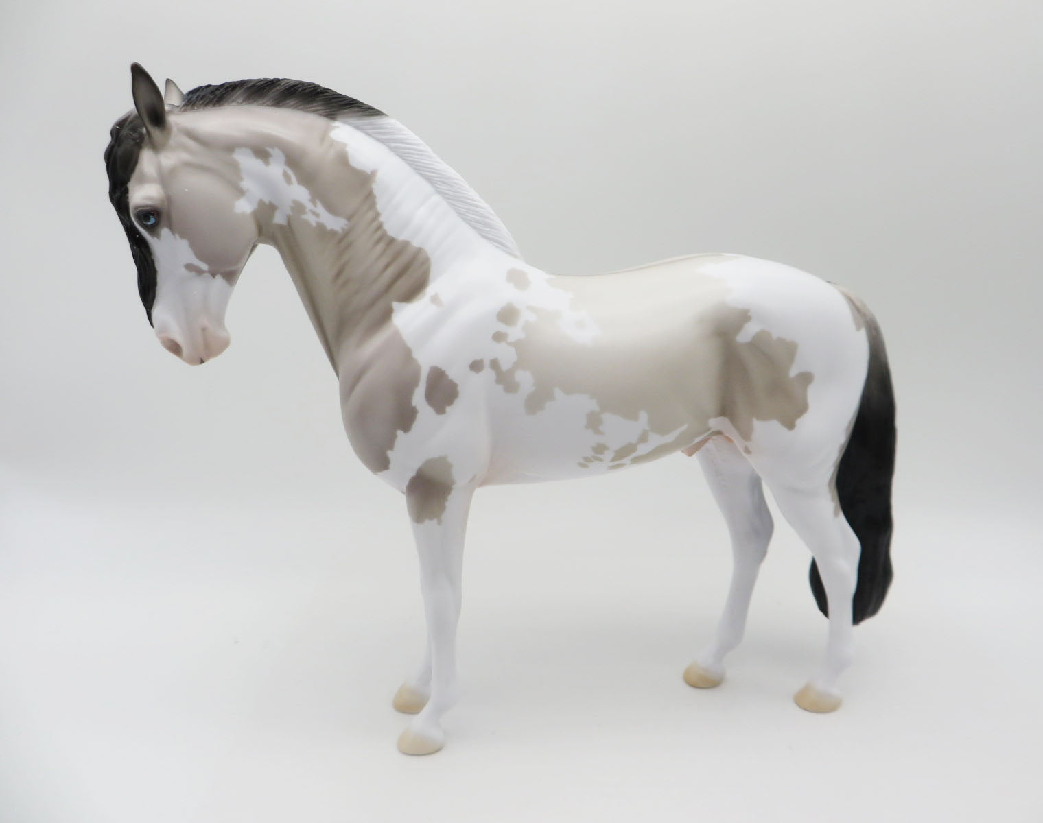 Don Quixote - LE 30 - Grulla Pinto Andalusian By Ellen Robbins Classic Literature Series 2023 CL23