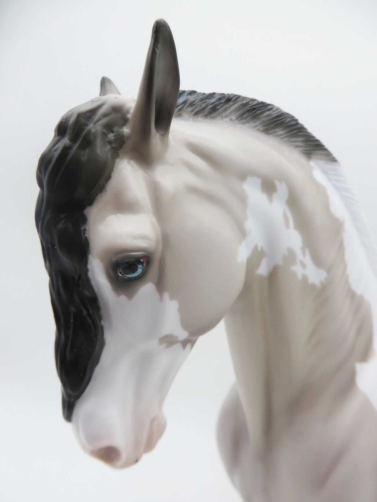 Don Quixote - LE 30 - Grulla Pinto Andalusian By Ellen Robbins Classic Literature Series 2023 CL23