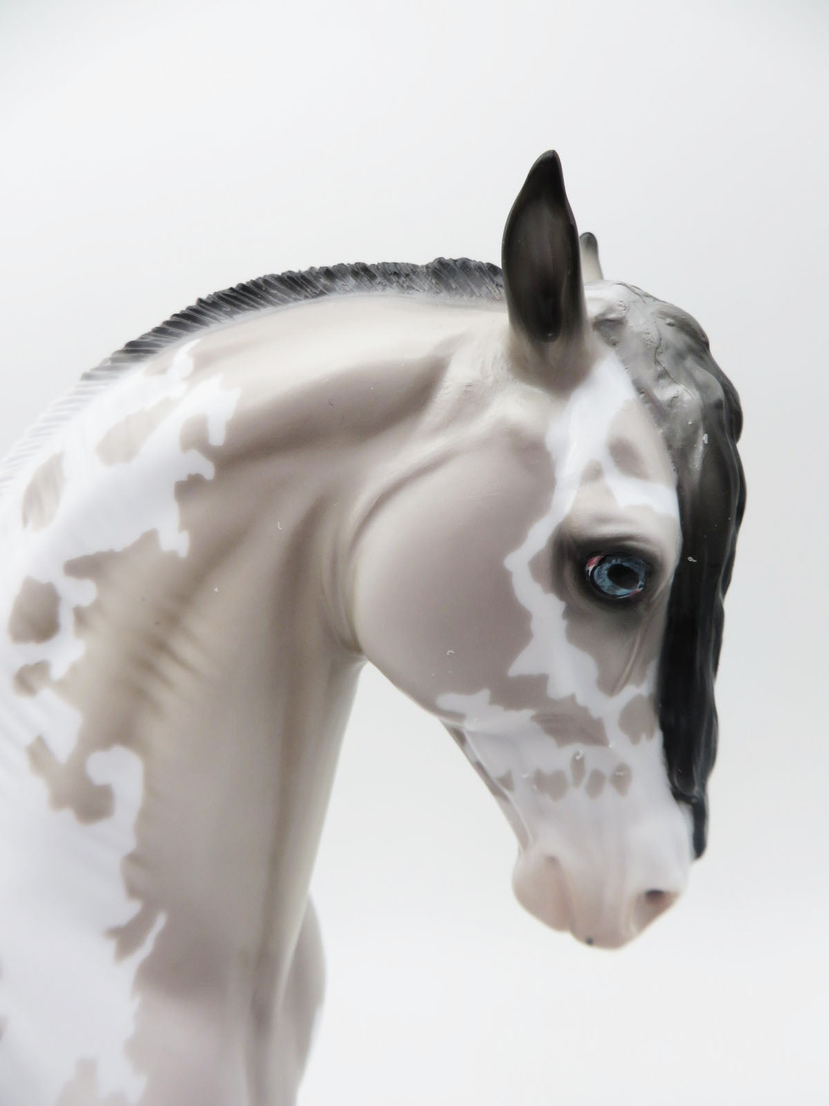 Don Quixote - LE 30 - Grulla Pinto Andalusian By Ellen Robbins Classic Literature Series 2023 CL23