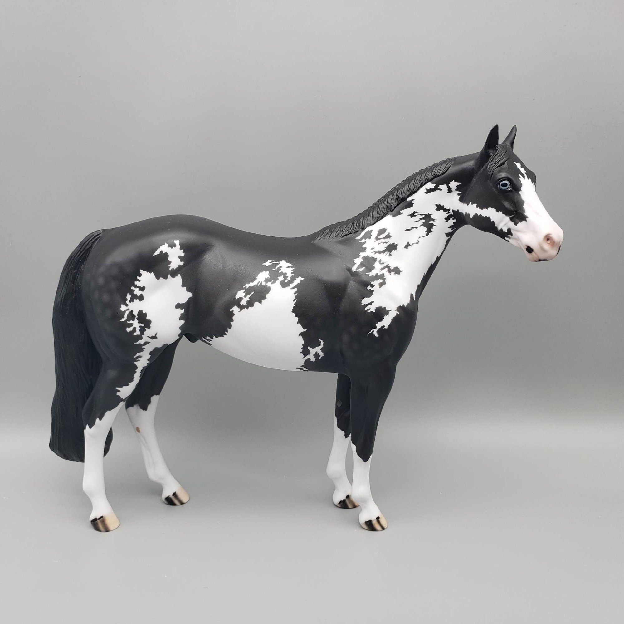 Arod - OOAK - Customized Black Sabino Ideal Stock Horse by Dawn Quick EQ23
