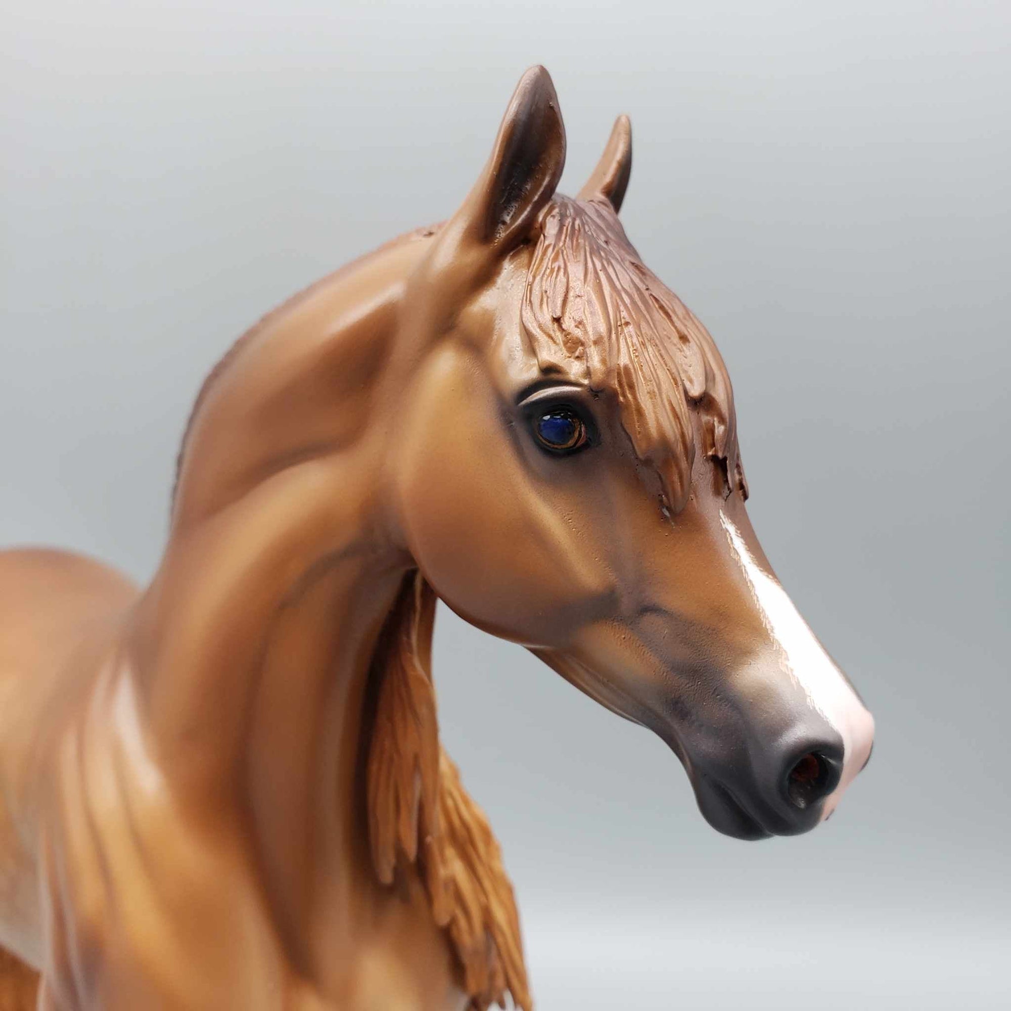 Hesperalo OOAK Dappled Chestnut Extreme Custom Arab Mare By Caroline Boydston Best Offers 8/7/23