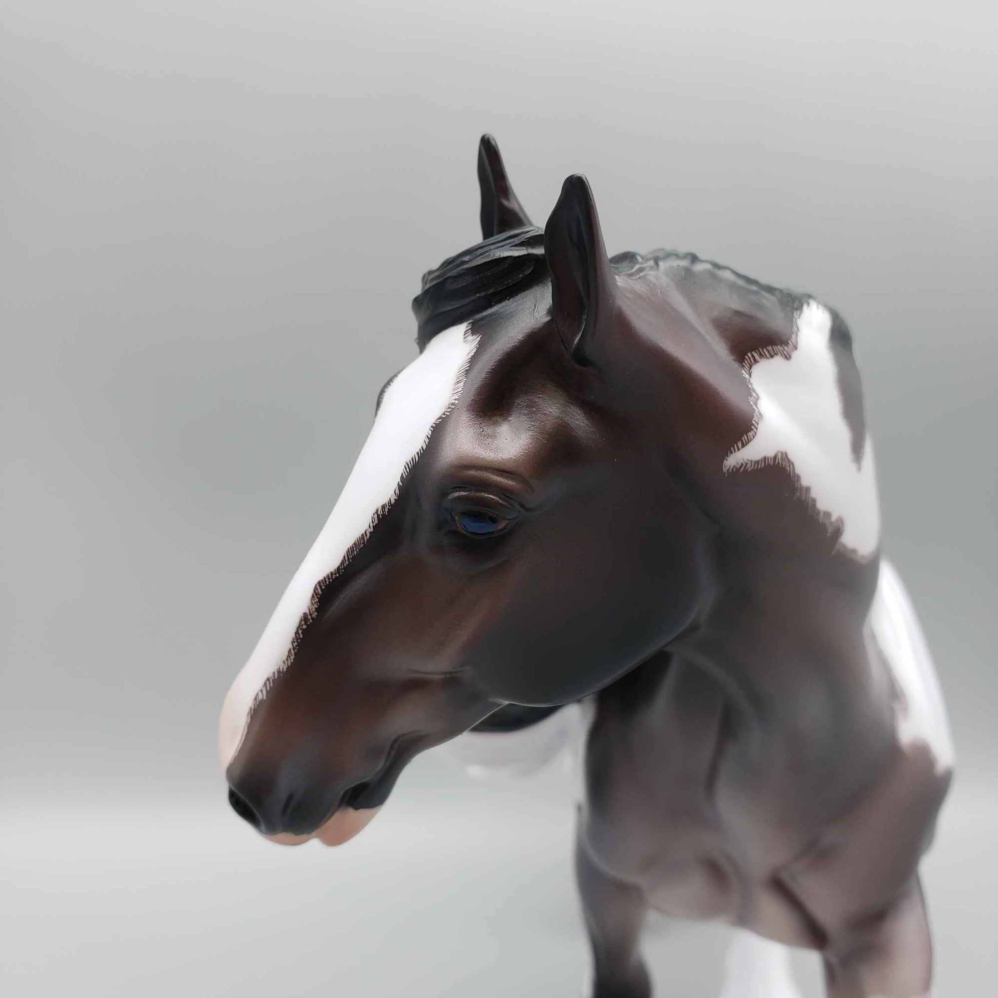 Chalbri OOAK Bay Tobiano Roan Custom Cob By Caroline Boydston Best Offers 8/7/23