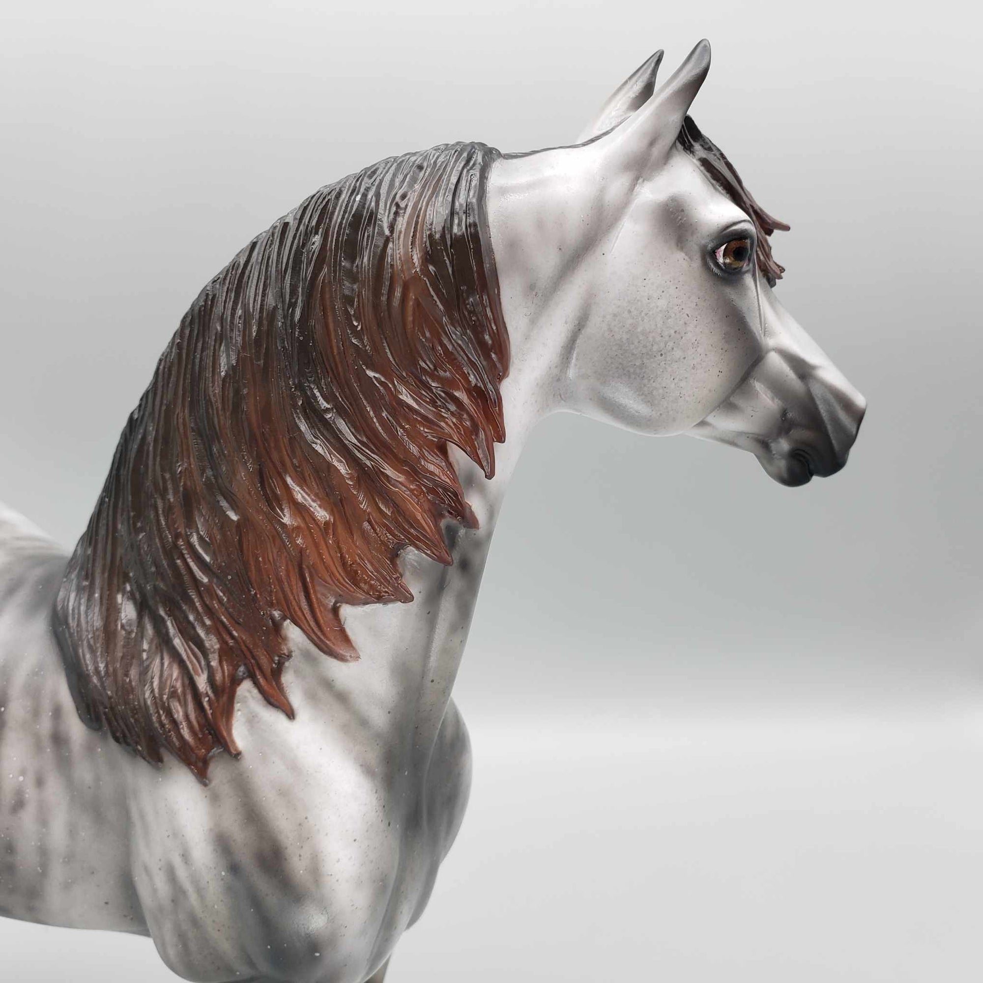 Tyrant OOAK Grey Skewed/Brindle Morgan By Jess Hamill for AoTH23 Best Offers