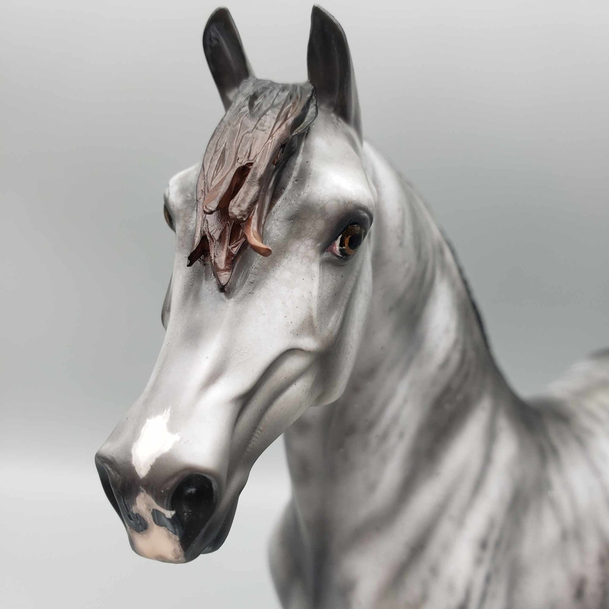 Tyrant OOAK Grey Skewed/Brindle Morgan By Jess Hamill for AoTH23 Best Offers