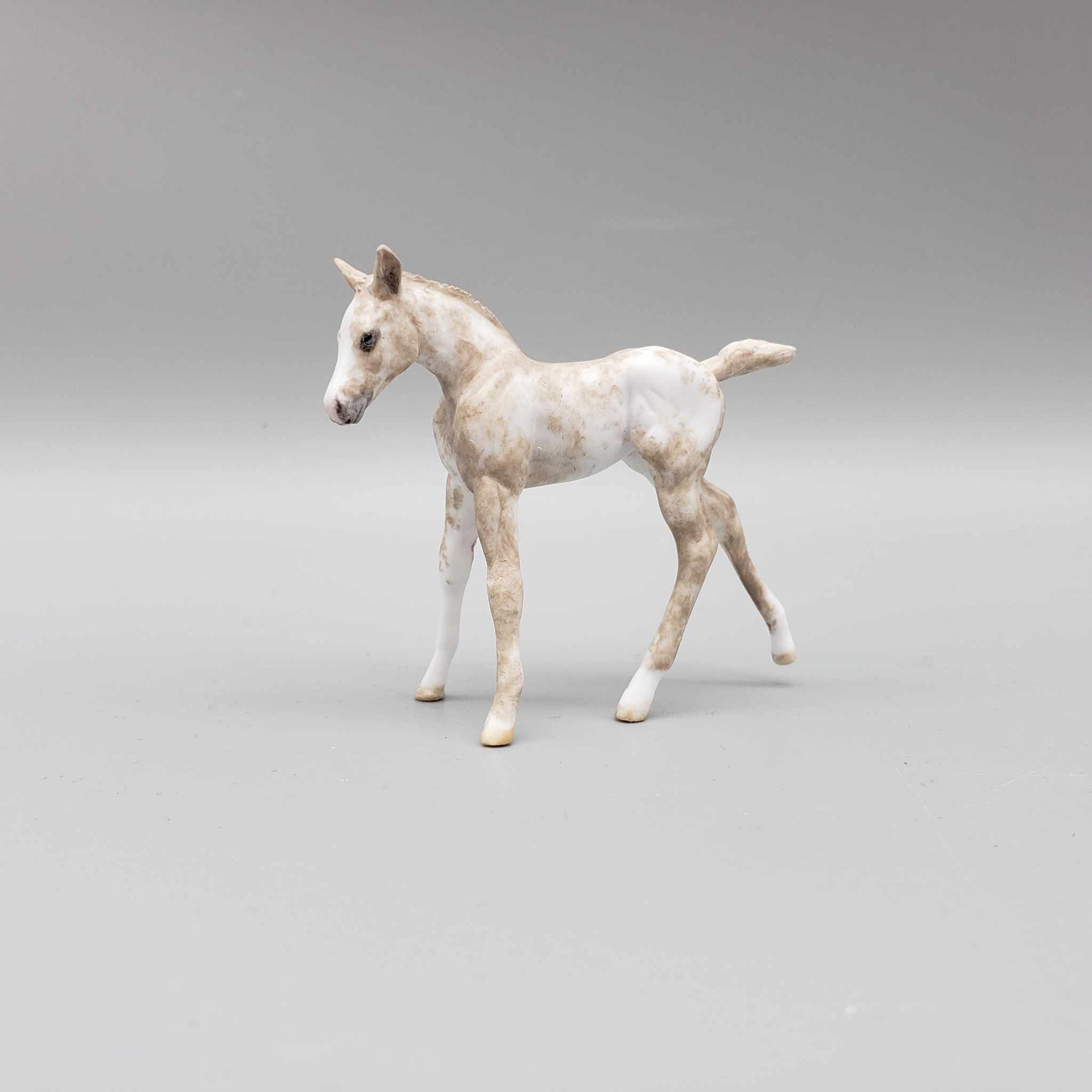 Bevan OOAK Chip Foal Hand Painted and Customized by Andrea Thomason HS23