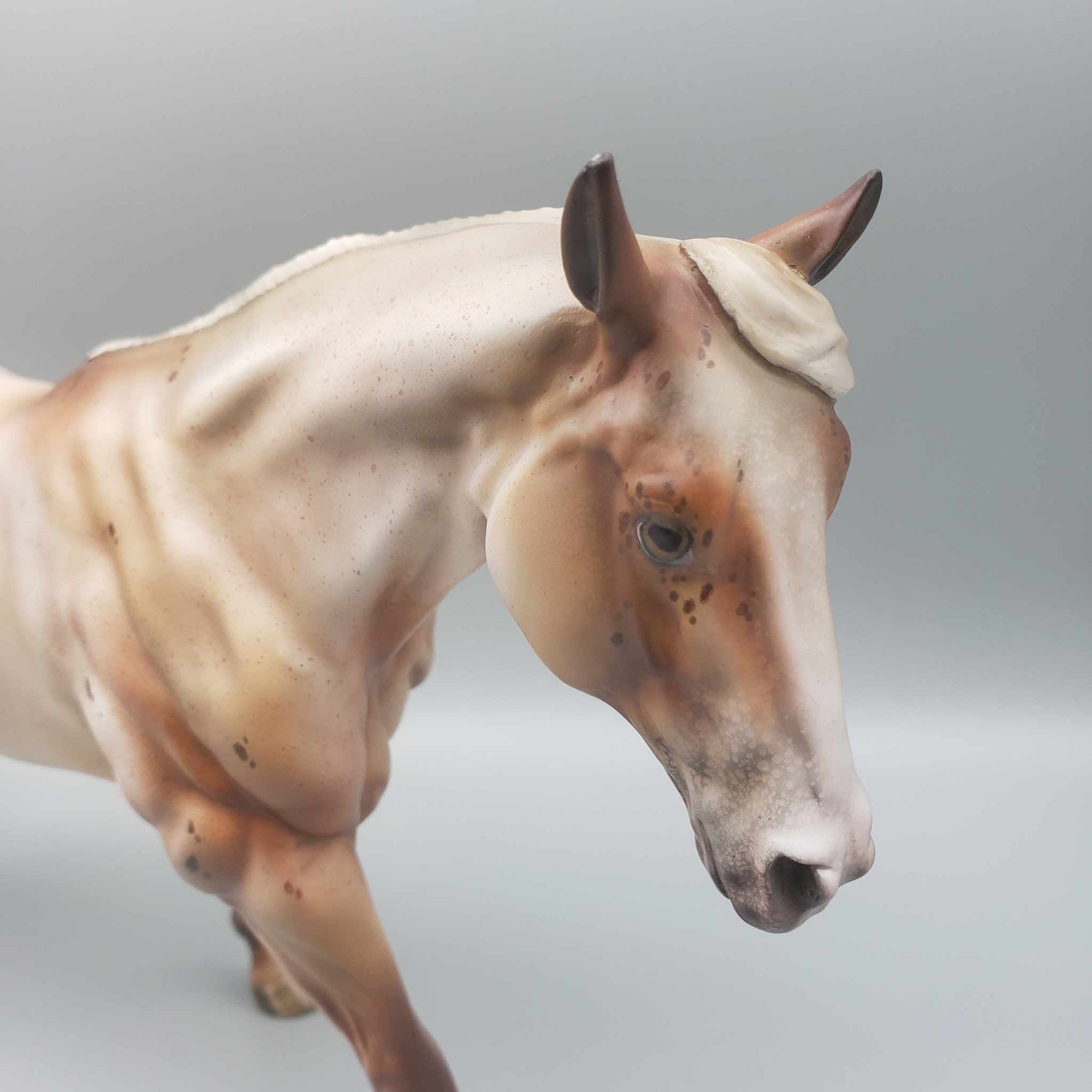 Here for the Boos OOAK Chestnut Appaloosa Remington By Julie Keim Moonlight Madness 2023 MM23