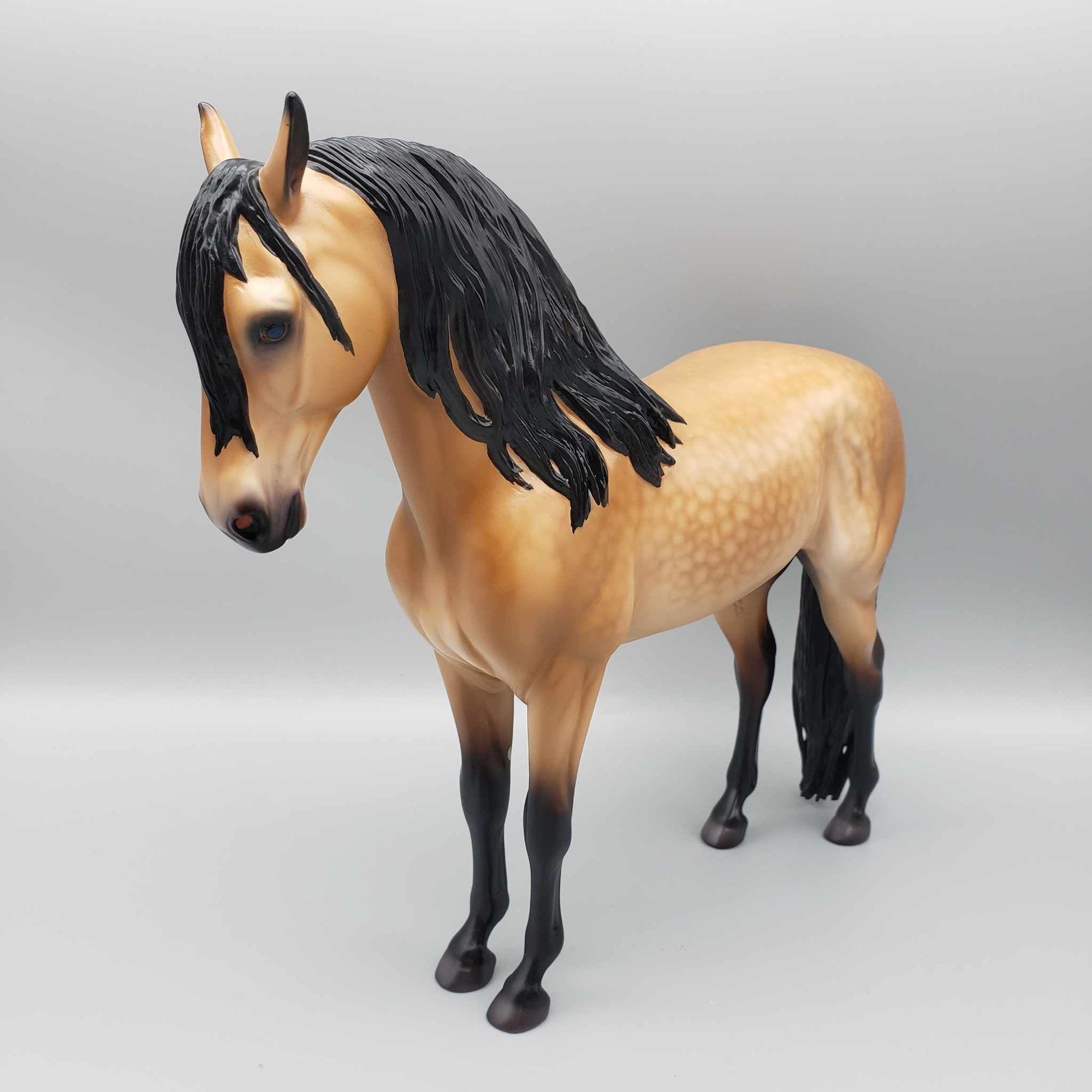 Grumman OOAK Dappled Buckskin Andalusian By Caroline Boydston Best Offer 11/13/23