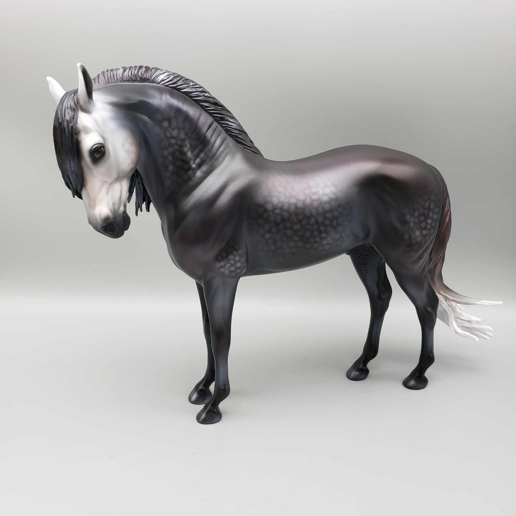 Luna del Cazardor OOAK Dappled Black Going Grey Andalusian By Carrie Keller BEST OFFER Moonlight Madness 2023 MM23