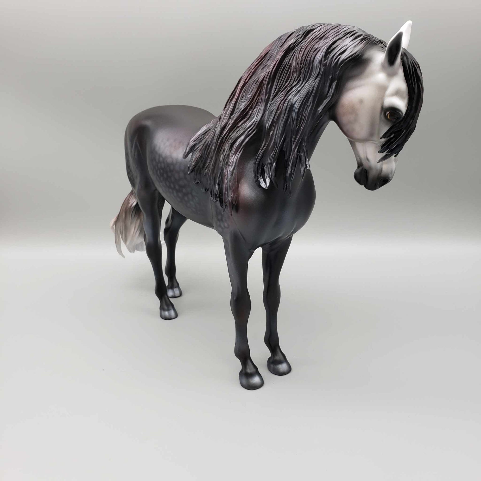 Luna del Cazardor OOAK Dappled Black Going Grey Andalusian By Carrie Keller BEST OFFER Moonlight Madness 2023 MM23