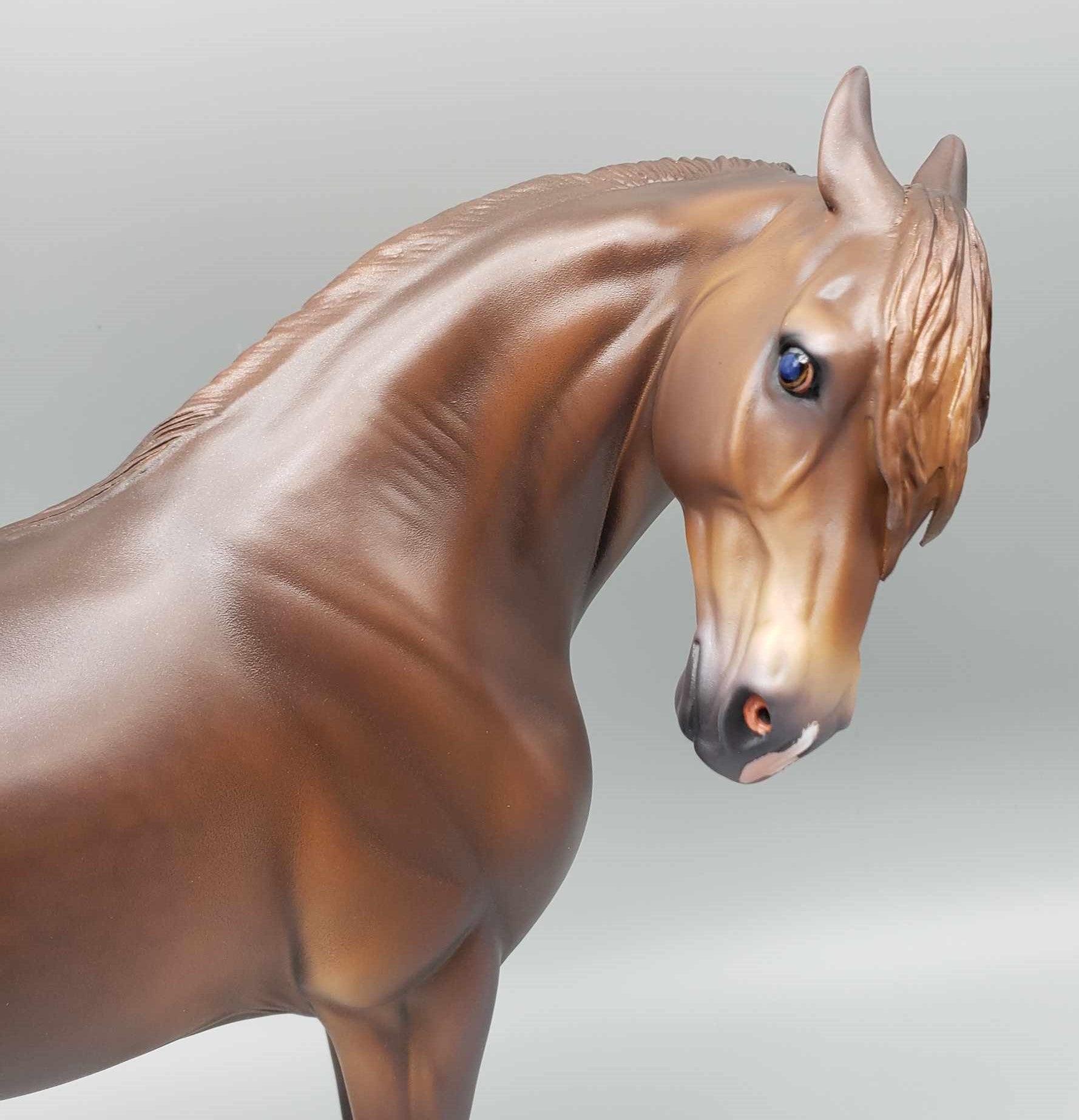 Hellcat OOAK Dark Dappled Chestnut Extreme Custom Andalusian By Caroline Boydston Best Offer 11/20/23