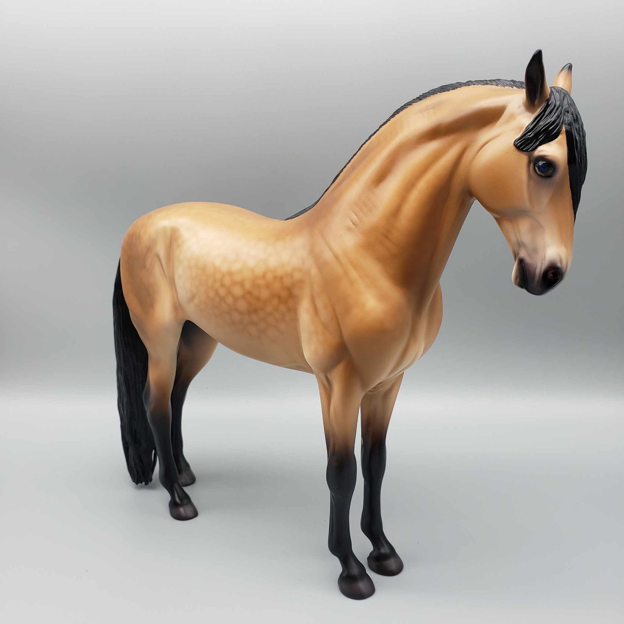 Grumman OOAK Dappled Buckskin Andalusian By Caroline Boydston Best Offer 11/13/23