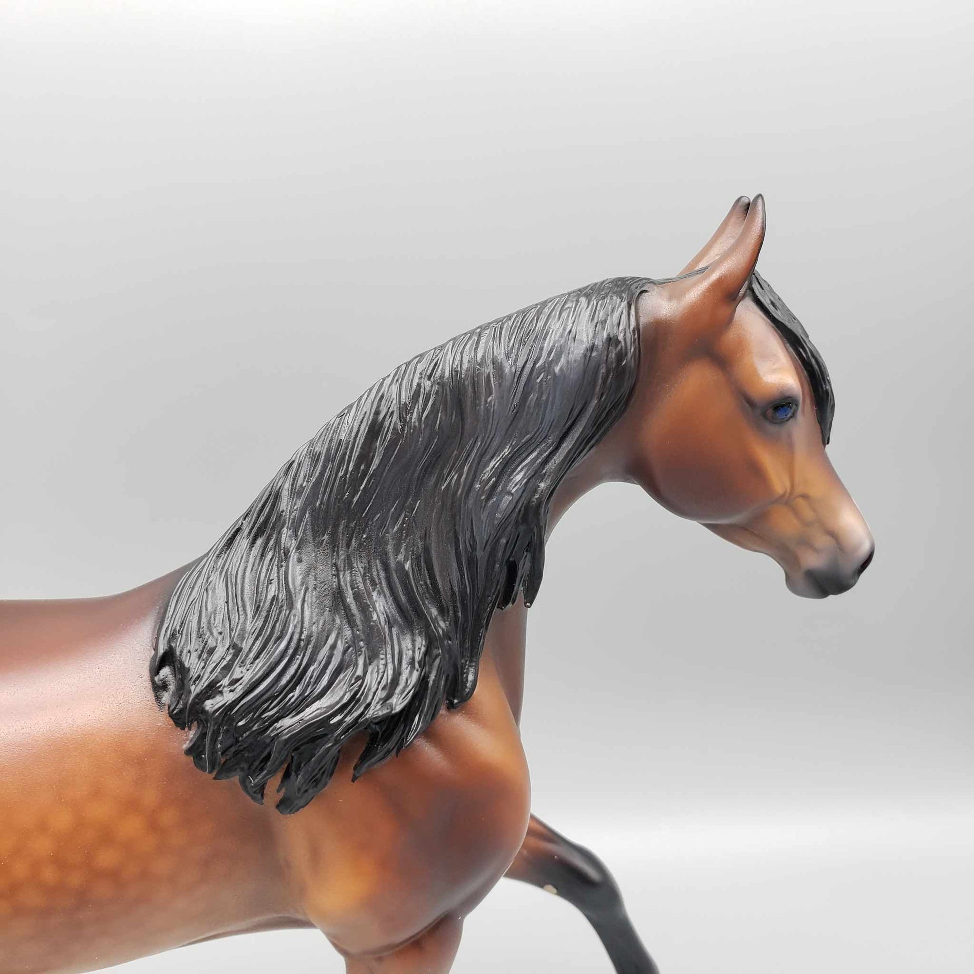 Cessna OOAK Dappled Bay with Silver Tail Arabian Mare By Caroline Boydston Best Offer 11/6/23