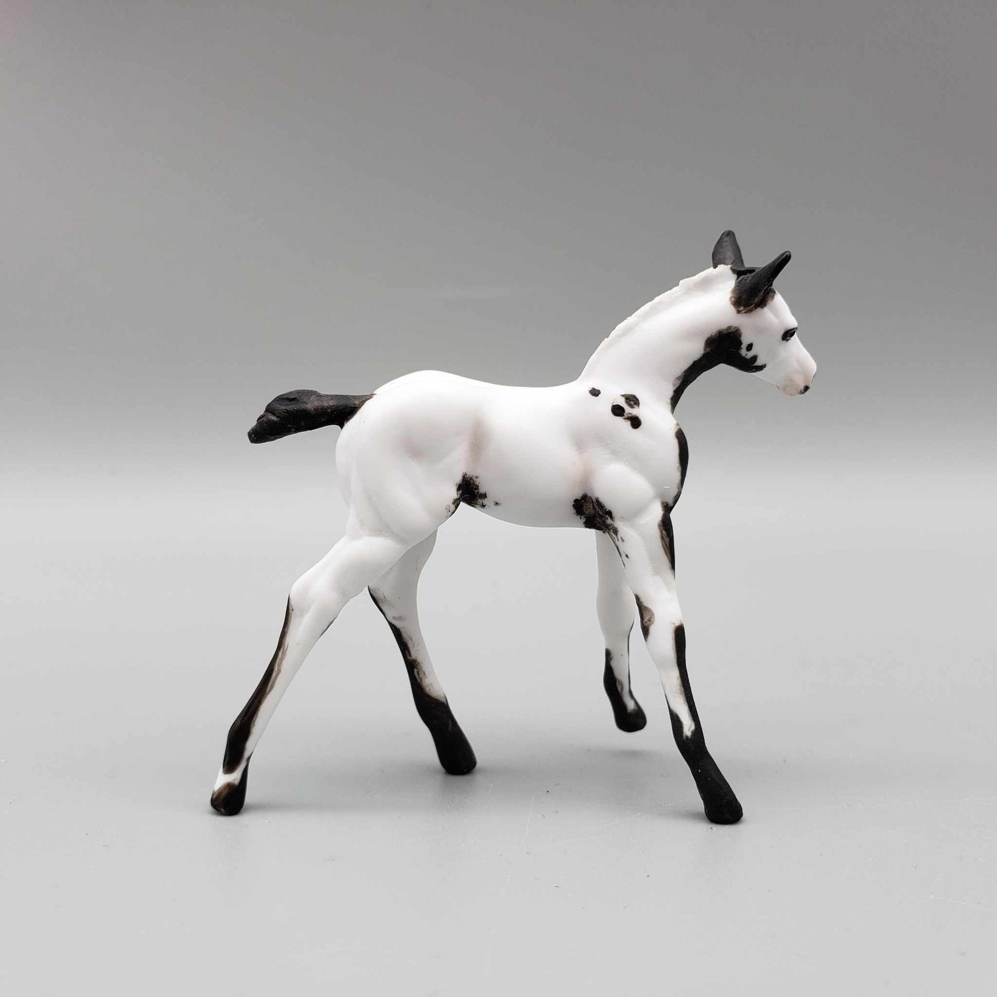 Frisky OOAK Black Tovero Kicking Chip Foal Hand Painted and Customized by Andrea Thomason HS23