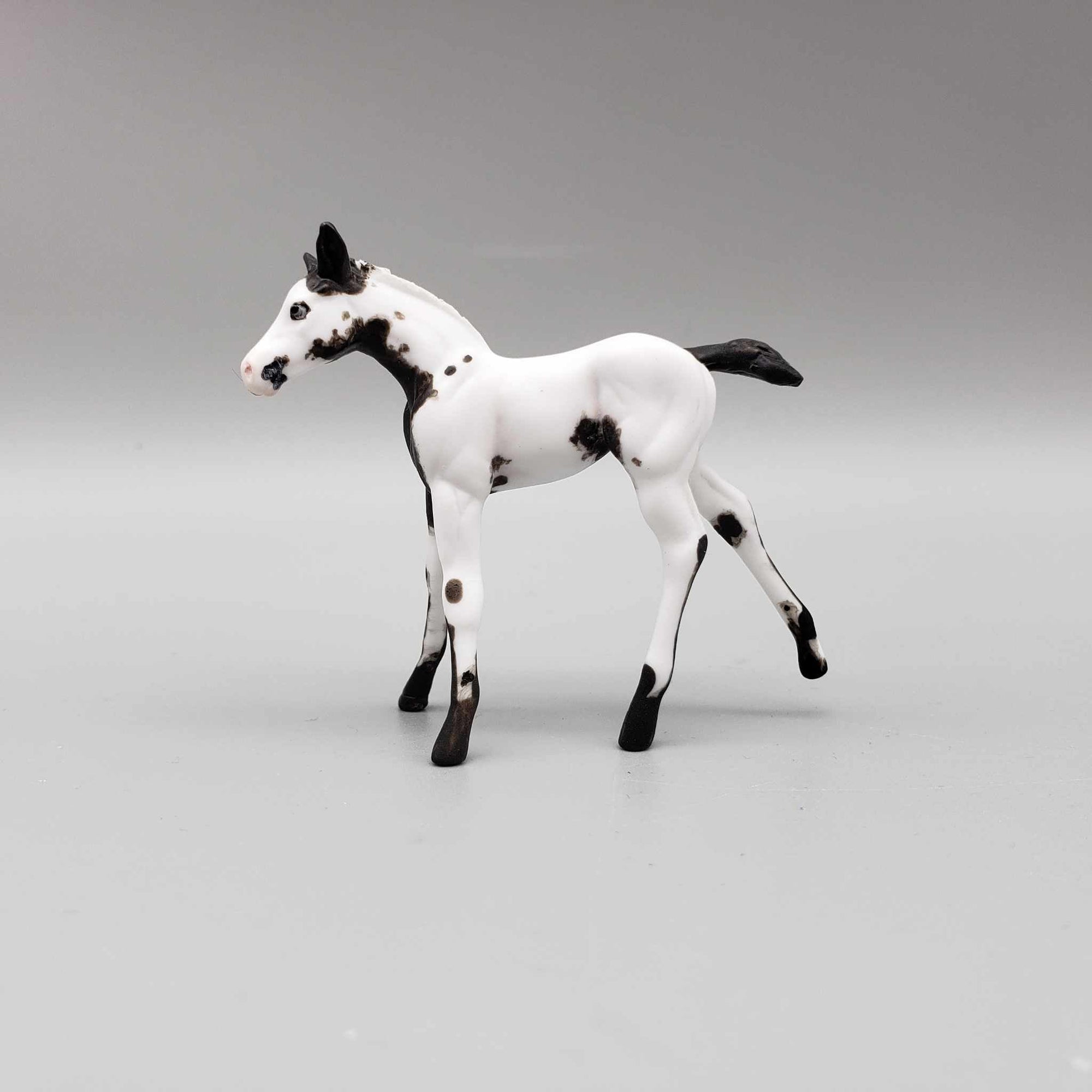 Frisky OOAK Black Tovero Kicking Chip Foal Hand Painted and Customized by Andrea Thomason HS23