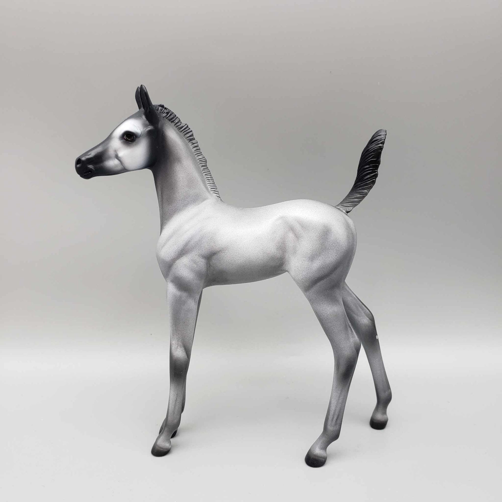 Creche OOAK Realistic/Deco Baby Penguin Arab Foal By Jess Hamill HS23