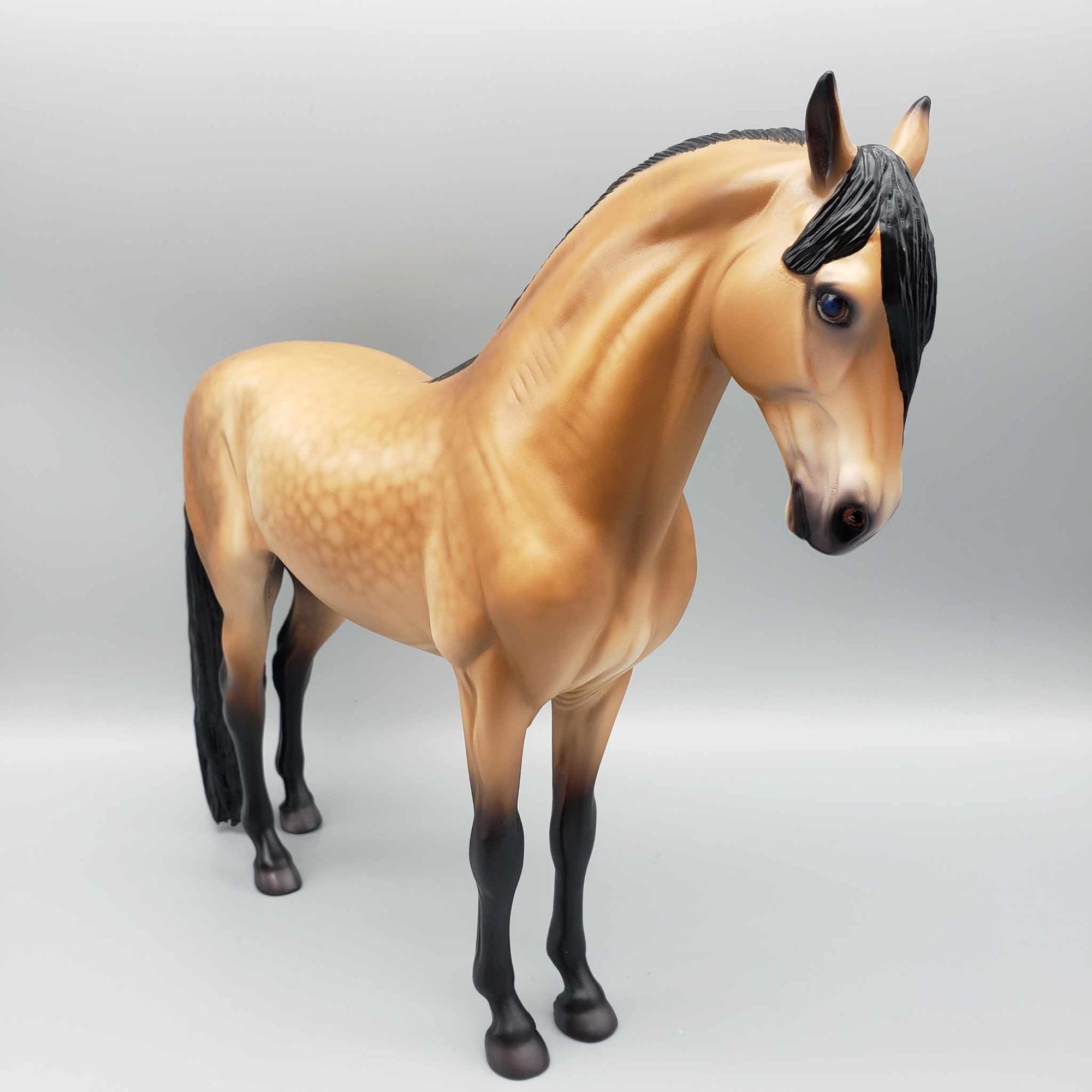 Grumman OOAK Dappled Buckskin Andalusian By Caroline Boydston Best Offer 11/13/23