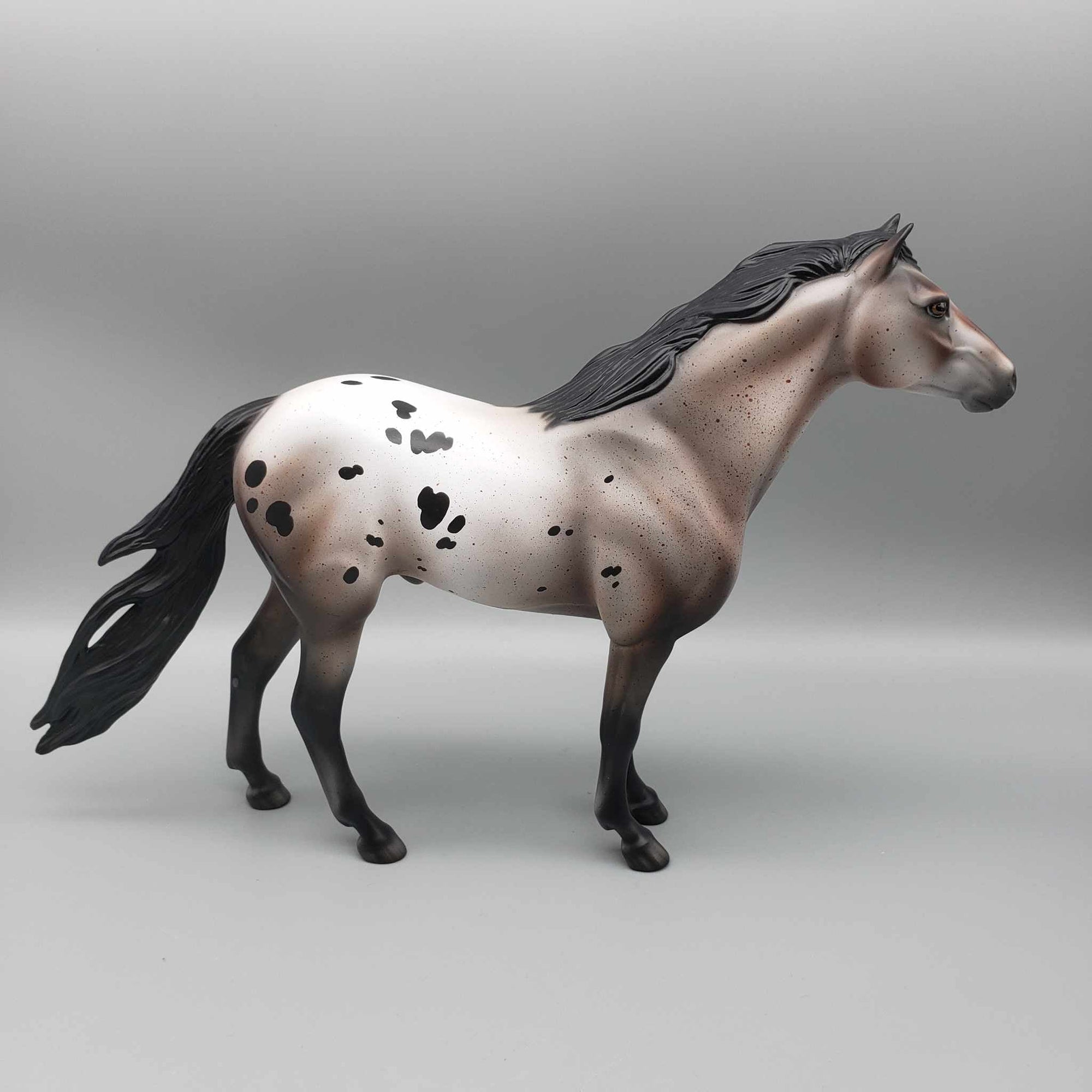 Wishes at Midnight OOAK Varnish Roan Mustang By Jess Hamill Holiday Sale HS23