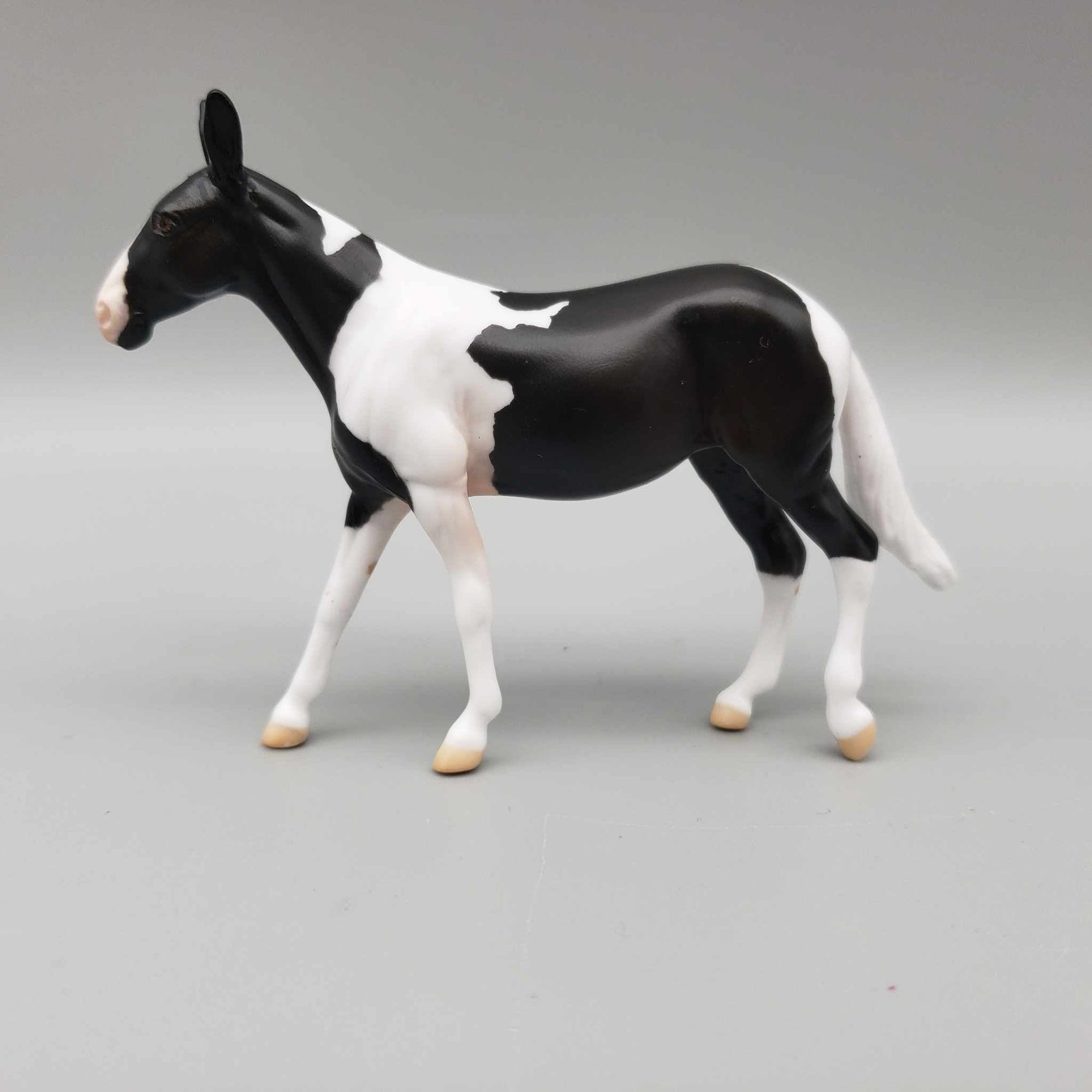 MINI Kloissonne LE10 Black Tobiano Mule Chip By Angela Marleau AoTH23