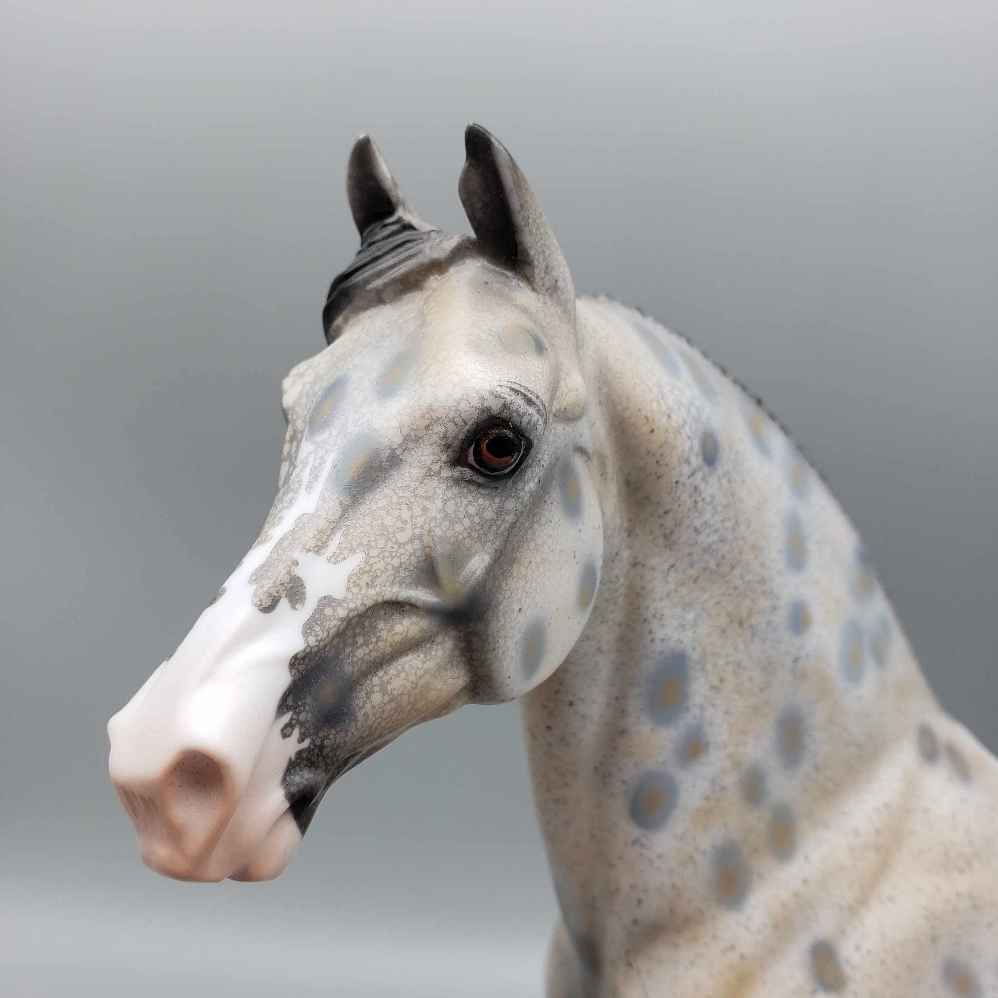 Just By Chance OOAK Appaloosa Morgan By Dawn Quick Fall Into Autumn Random Drop Sale 9/23