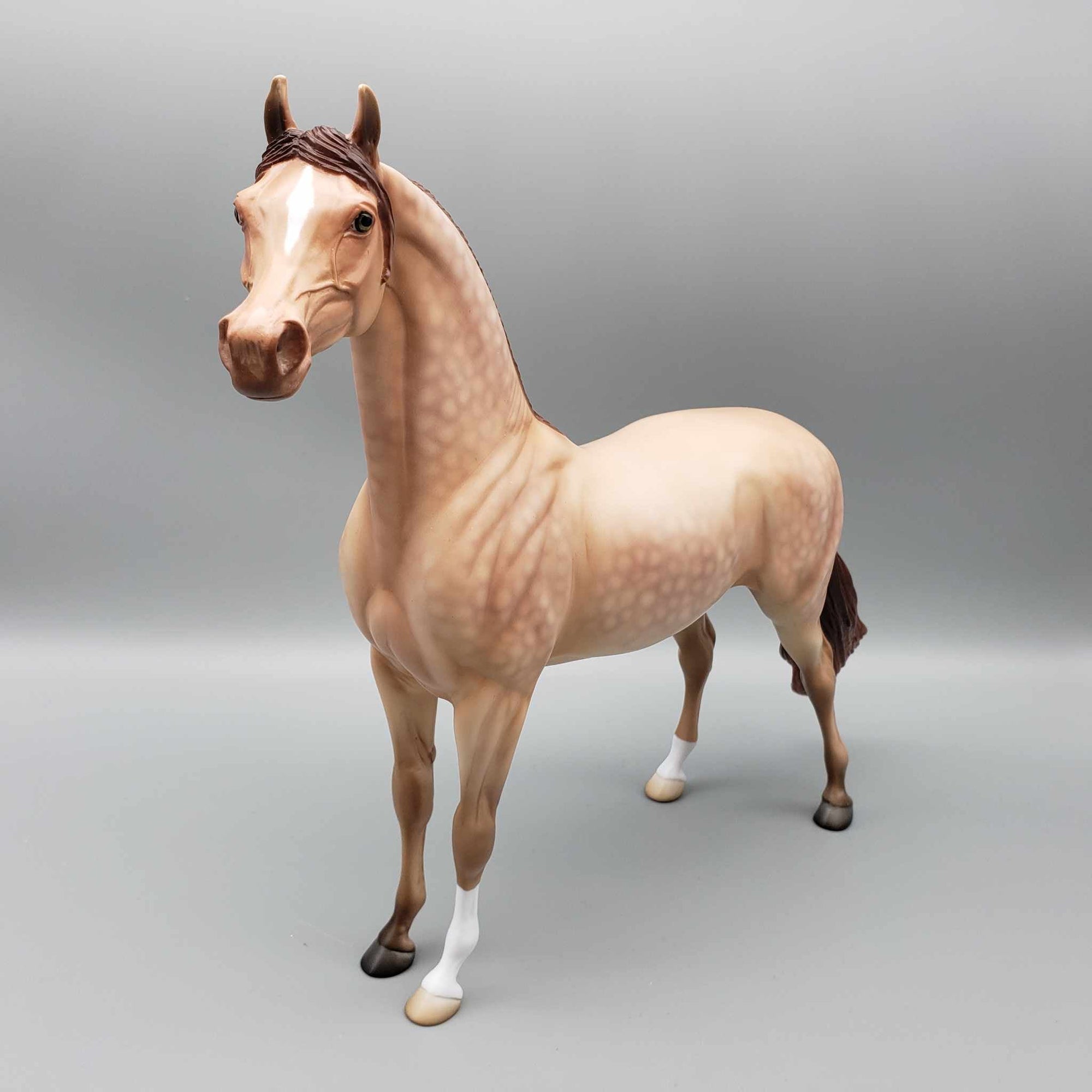 Ettore Dappled Amber Champagne Arabian Stallion By Angela Marelau Fall Into Autumn Random Drop Sale 9/23