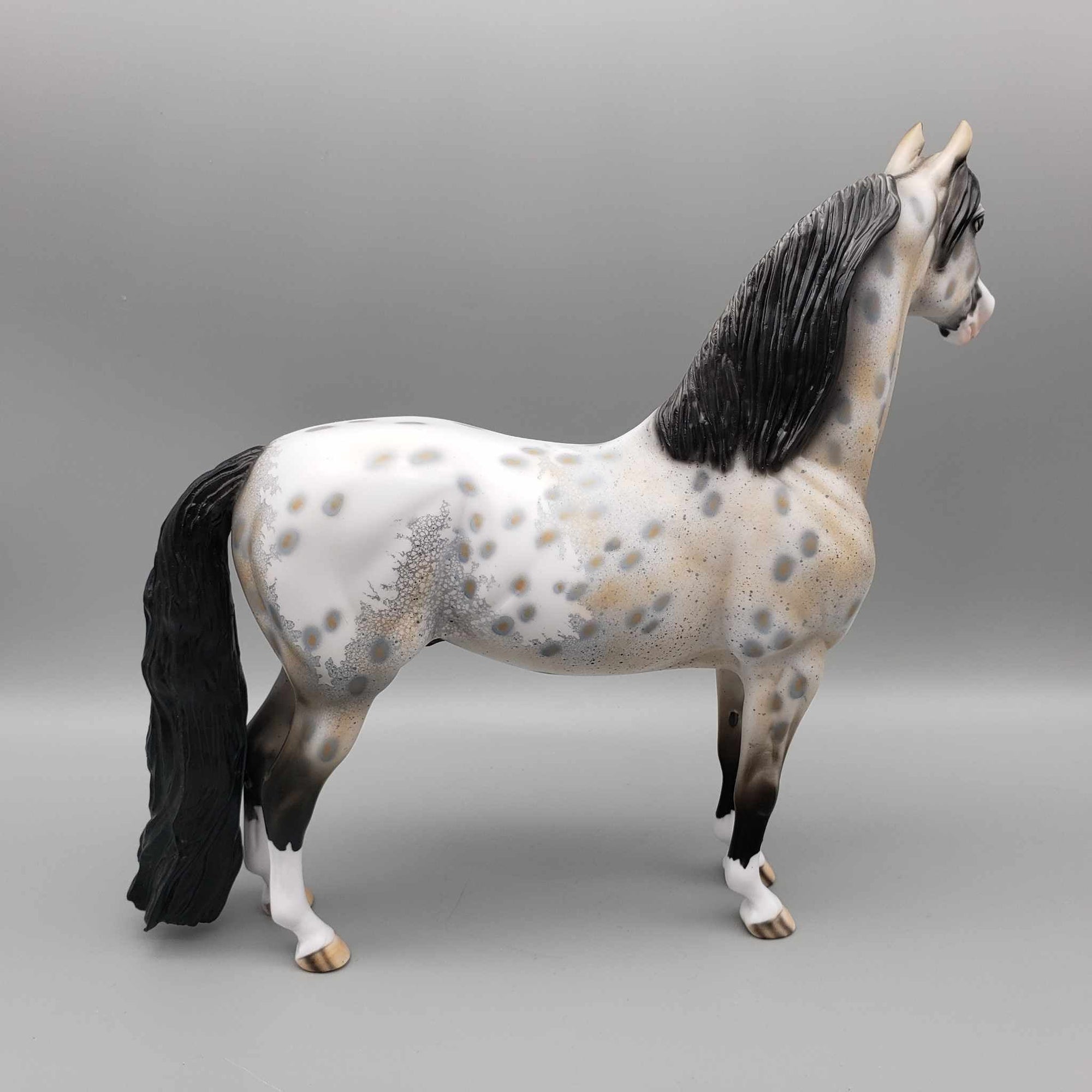 Just By Chance OOAK Appaloosa Morgan By Dawn Quick Fall Into Autumn Random Drop Sale 9/23