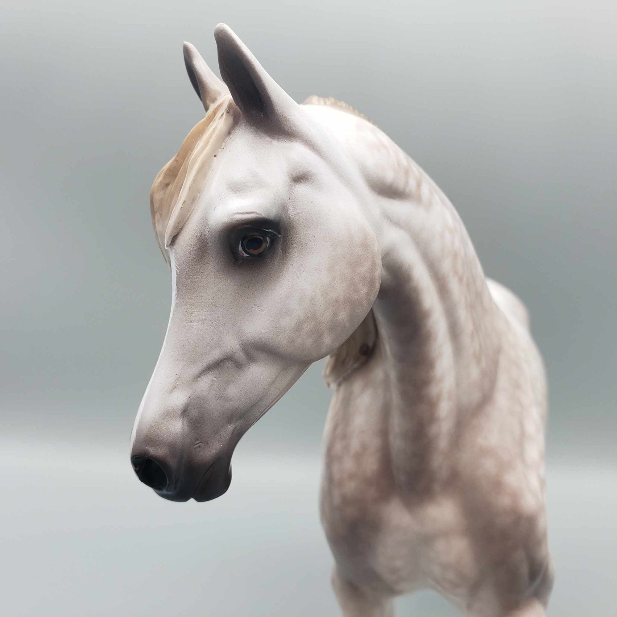 Sweet Biscuits OOAK Dappled Mulberry Arabian Mare By Sheryl Leisure Best Offers 9/5/23