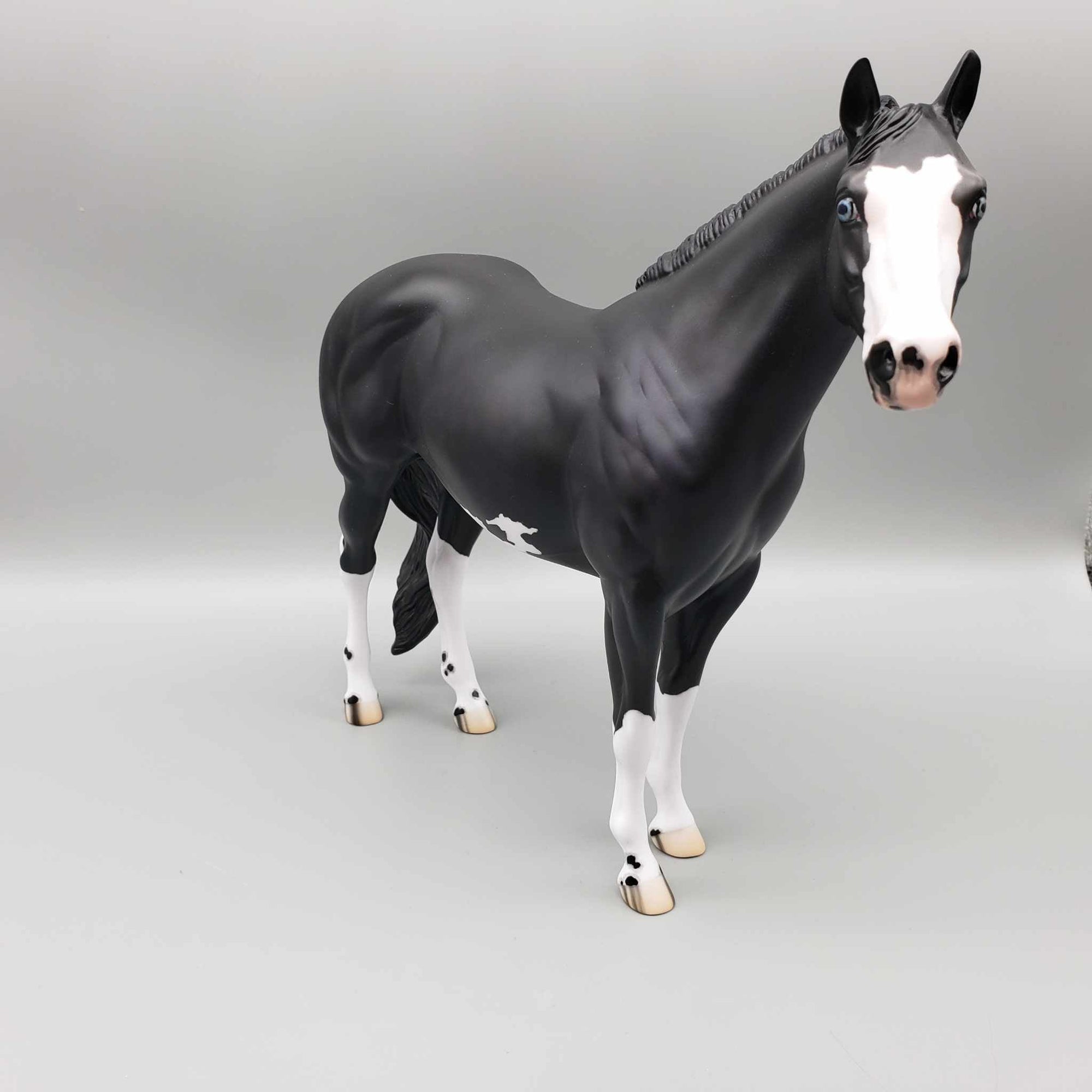 Jotaro Black Ideal Stock Horse By Jess Hamill Custom Fall Into Autumn Random Drop Sale 9/23