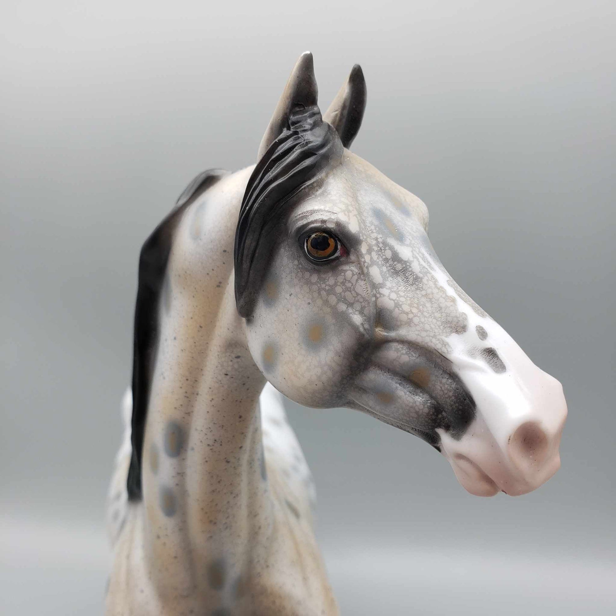 Just By Chance OOAK Appaloosa Morgan By Dawn Quick Fall Into Autumn Random Drop Sale 9/23