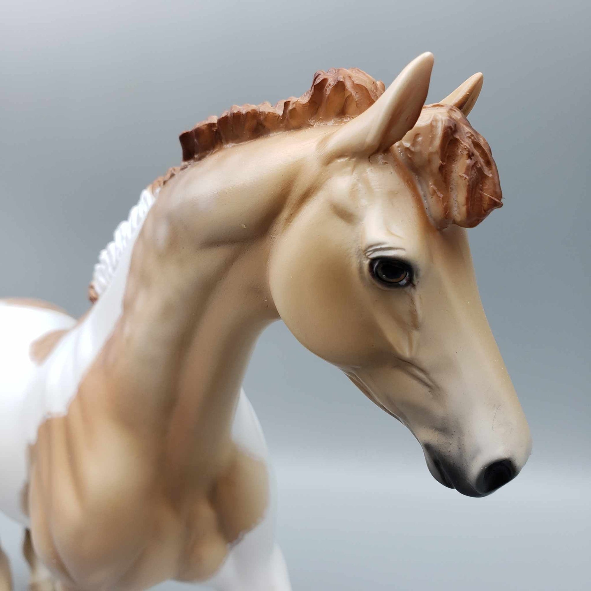 Fio Dappled Tobiano Pony By Dawn Quick Fall Into Autumn Random Drop Sale 9/23