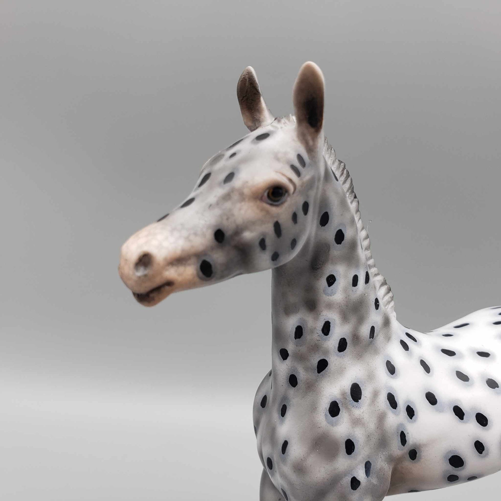 Pebbles OOAK Appaloosa Arab Foal By Dawn Quick Fall Into Autumn Random Drop Sale 9/23