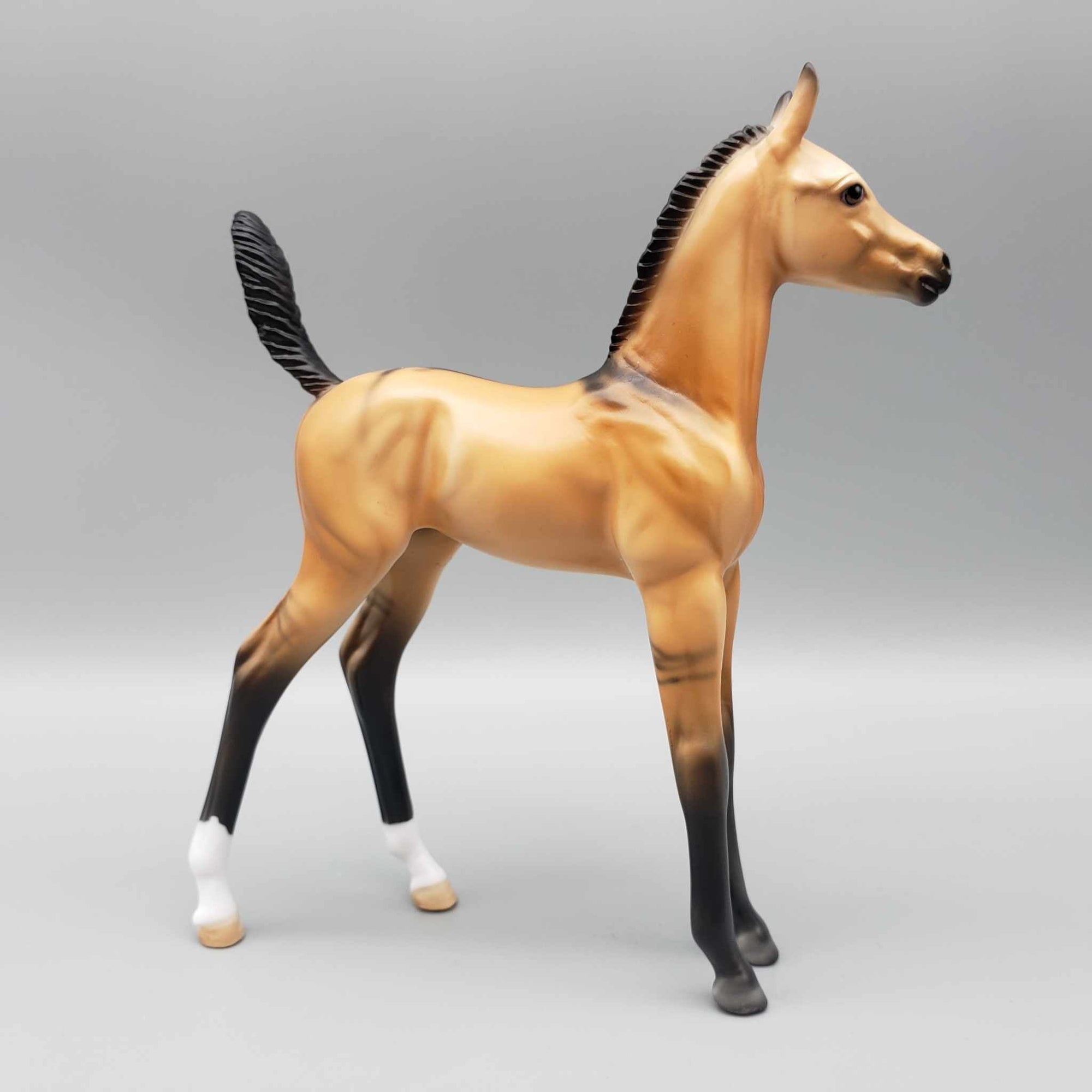 Ashton OOAK Dun Arab Foal By Dawn Quick Fall Into Autumn Random Drop Sale 9/23