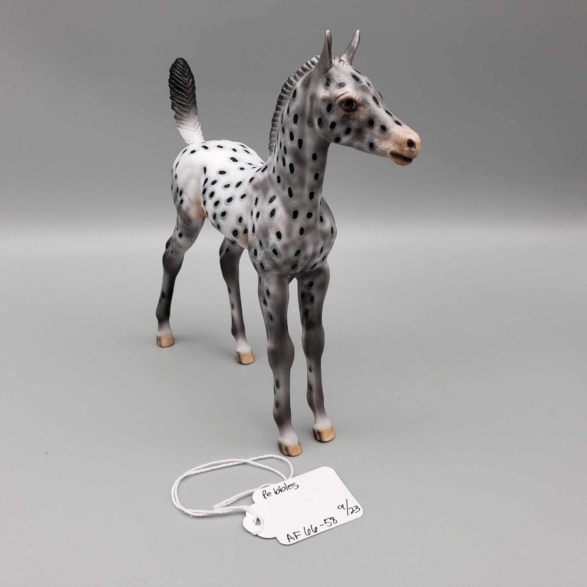Pebbles OOAK Appaloosa Arab Foal By Dawn Quick Fall Into Autumn Random Drop Sale 9/23