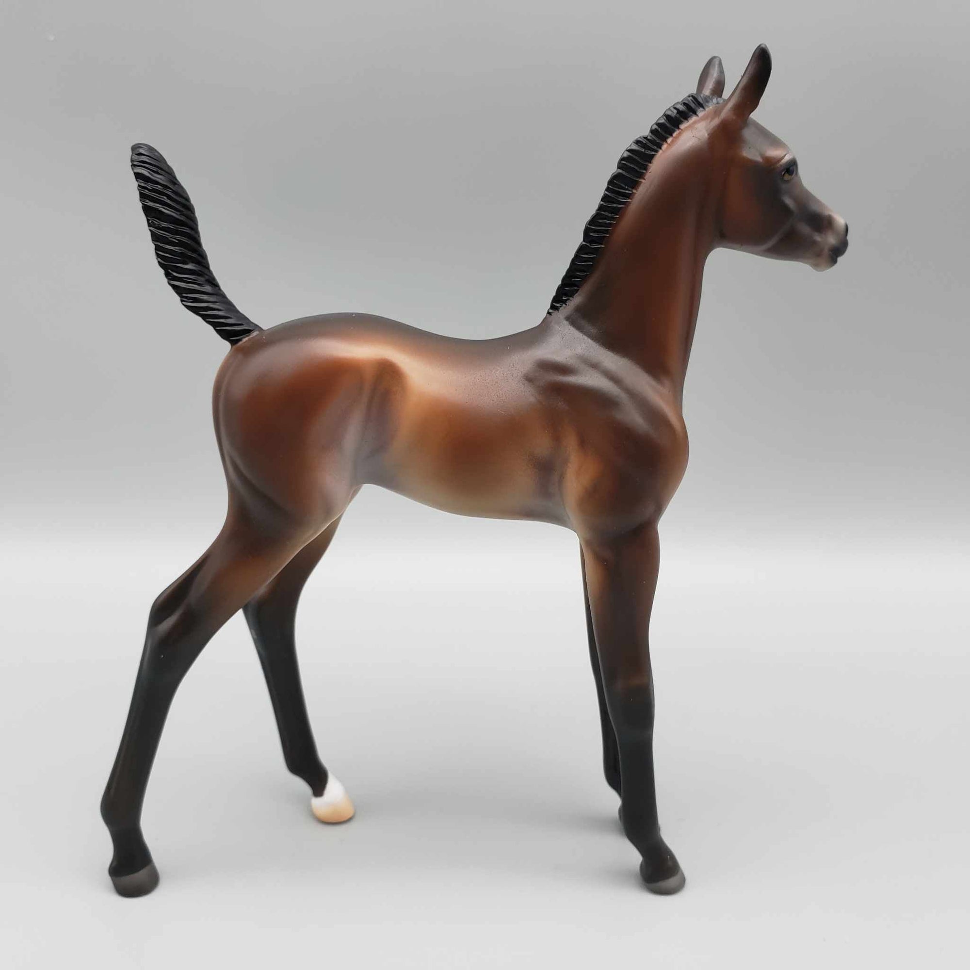 Starborne OOAK Bay Arab Foal By Ashley Palmer Fall Into Autumn Random Drop Sale 9/23