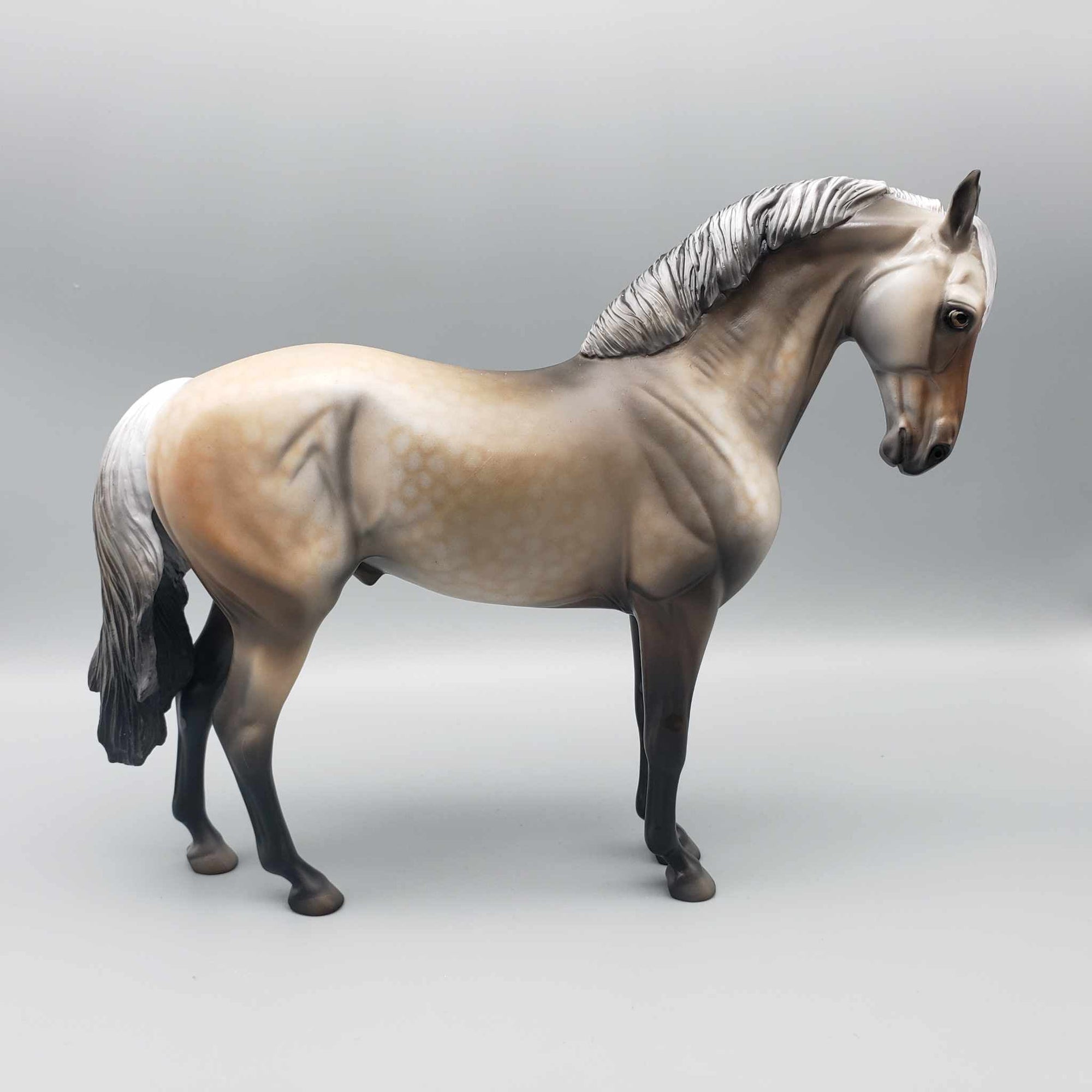 Biondello OOAK Buckskin Going Grey Andalusian By Dawn Quick MM23