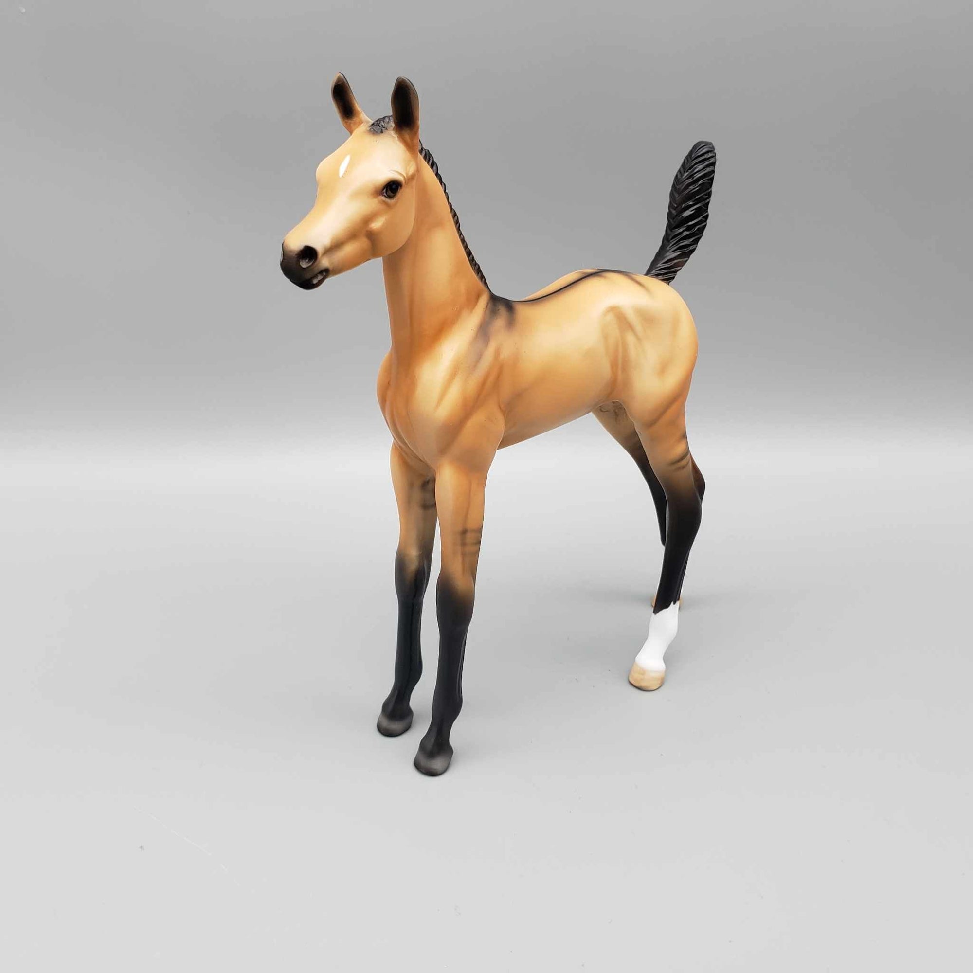 Ashton OOAK Dun Arab Foal By Dawn Quick Fall Into Autumn Random Drop Sale 9/23