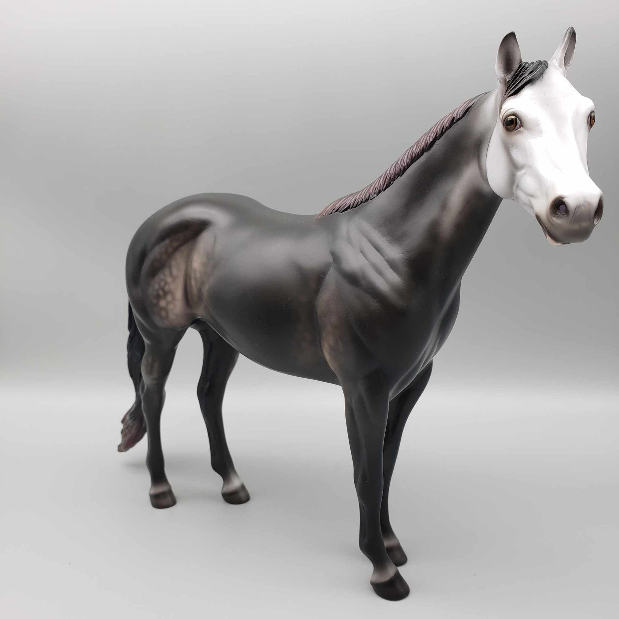 Count Dracula LE 15 By Ellen Robbins Classic Literature Series 2023 CL23