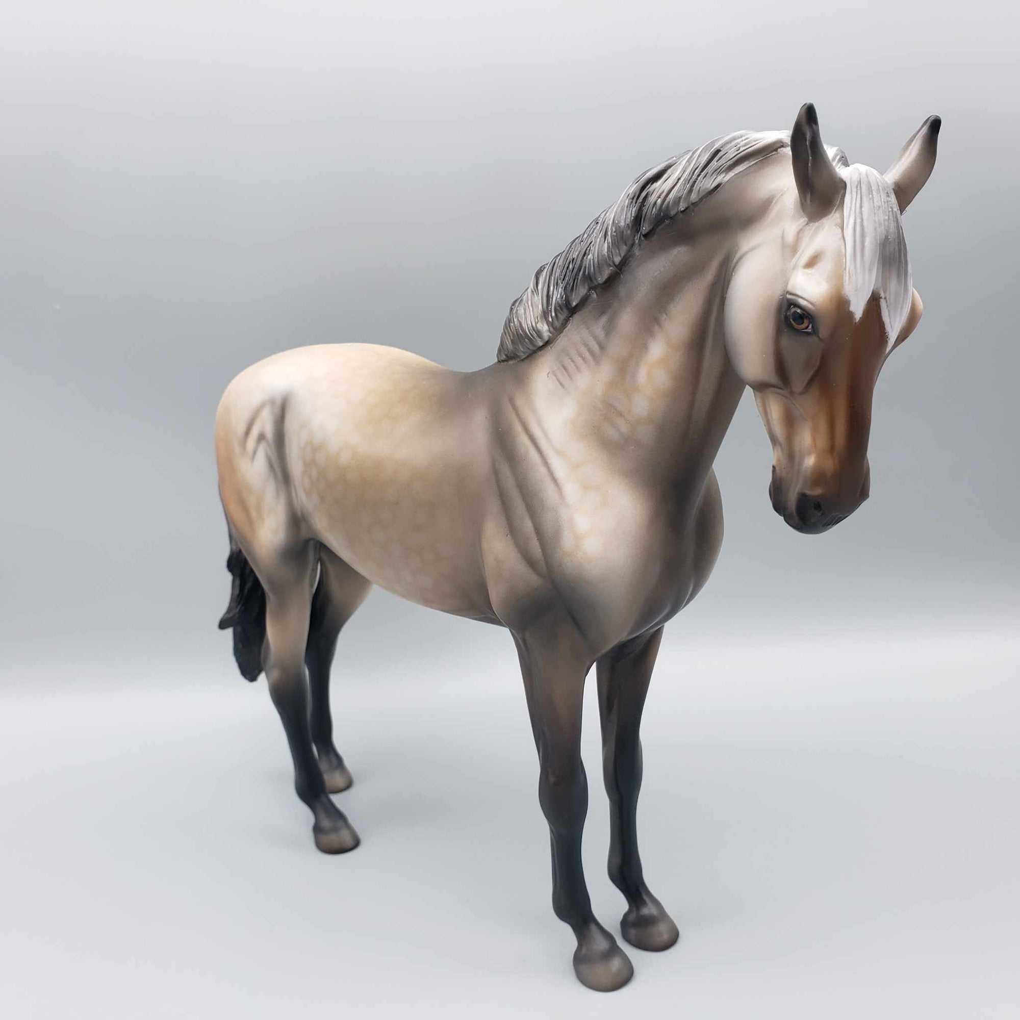 Biondello OOAK Buckskin Going Grey Andalusian By Dawn Quick MM23