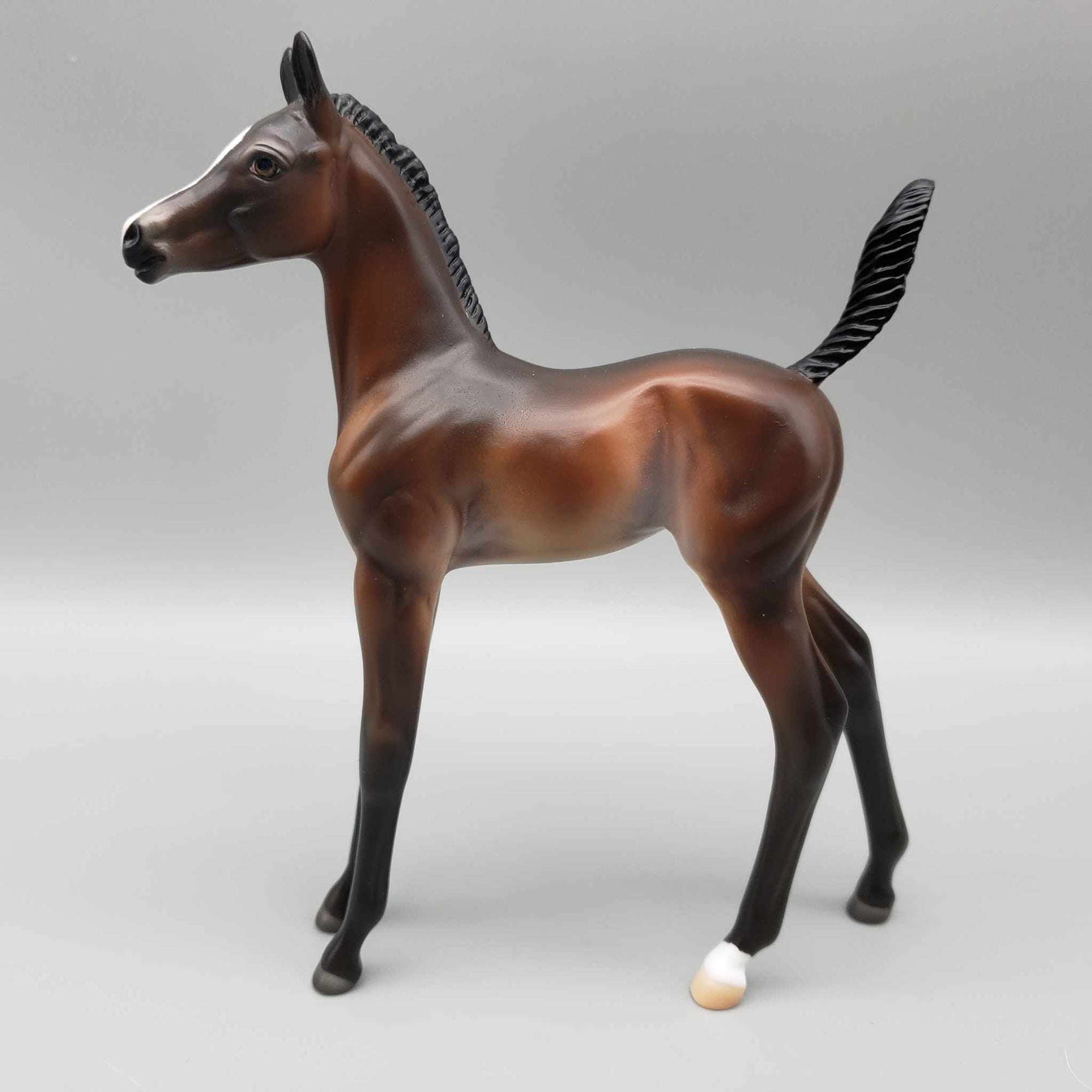 Starborne OOAK Bay Arab Foal By Ashley Palmer Fall Into Autumn Random Drop Sale 9/23