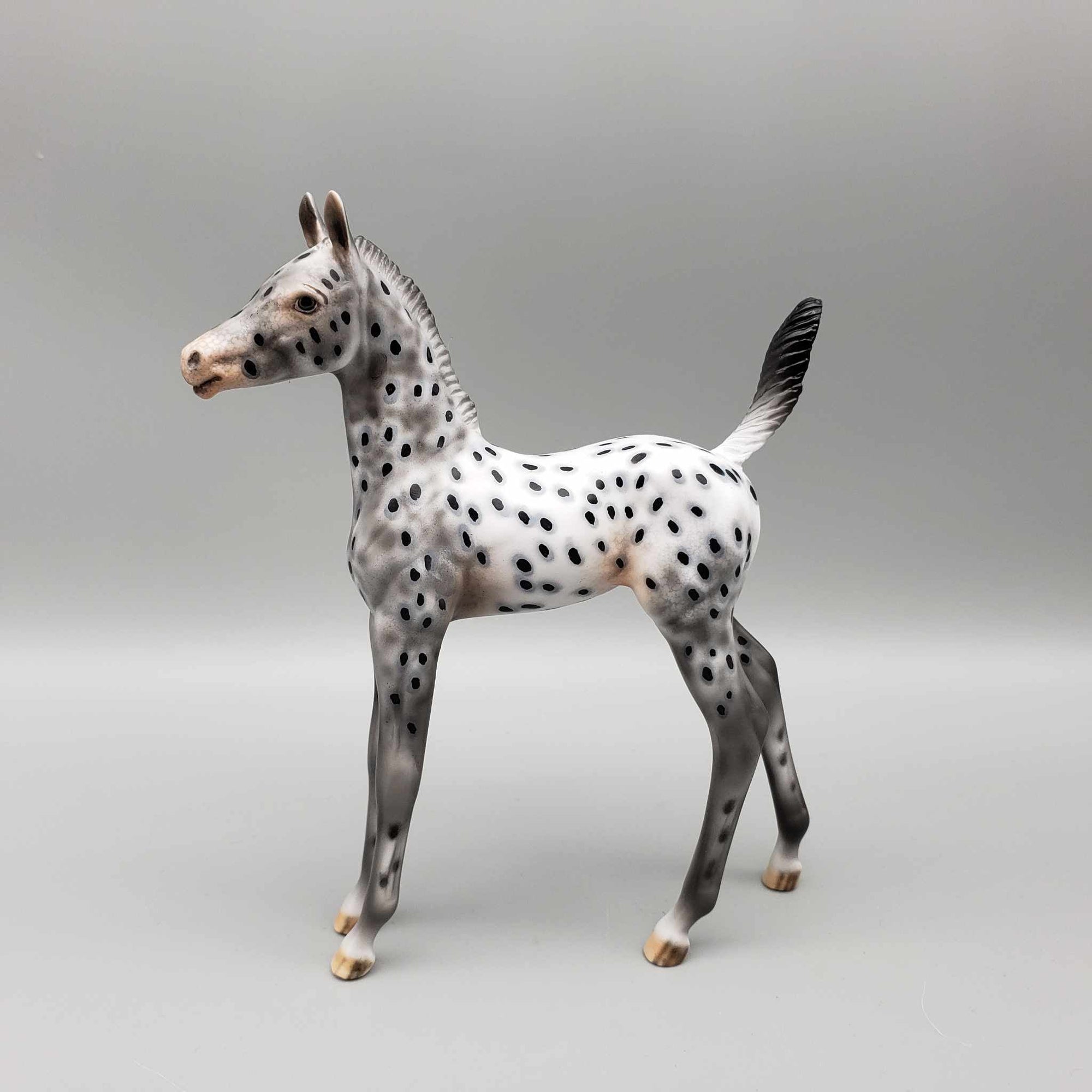 Pebbles OOAK Appaloosa Arab Foal By Dawn Quick Fall Into Autumn Random Drop Sale 9/23