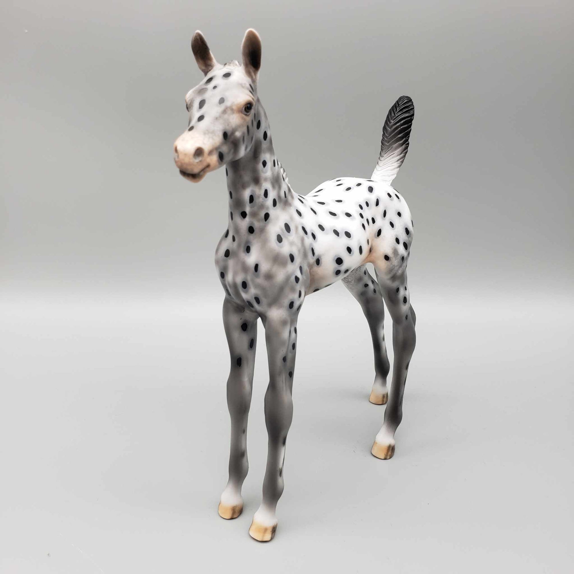 Pebbles OOAK Appaloosa Arab Foal By Dawn Quick Fall Into Autumn Random Drop Sale 9/23