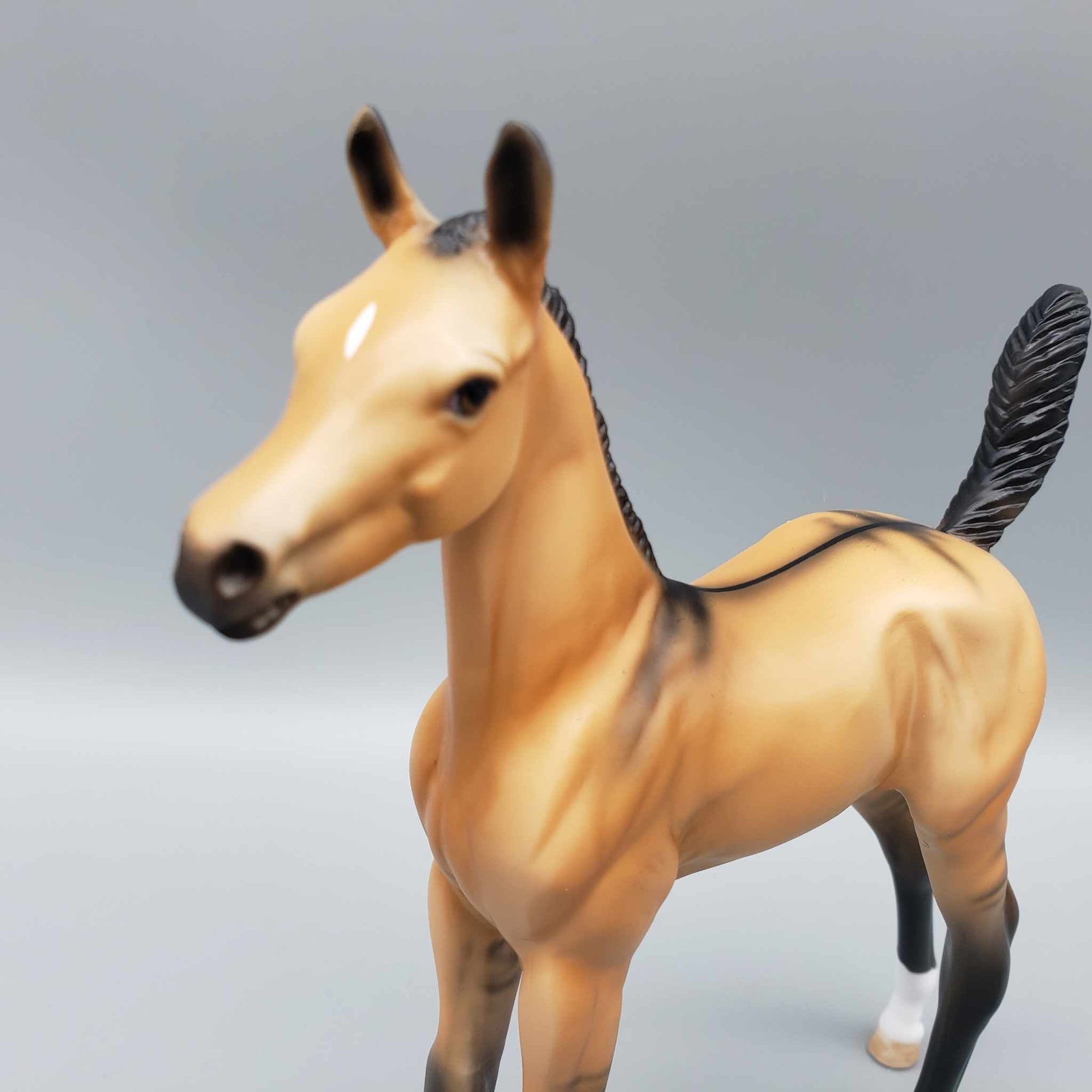 Ashton OOAK Dun Arab Foal By Dawn Quick Fall Into Autumn Random Drop Sale 9/23