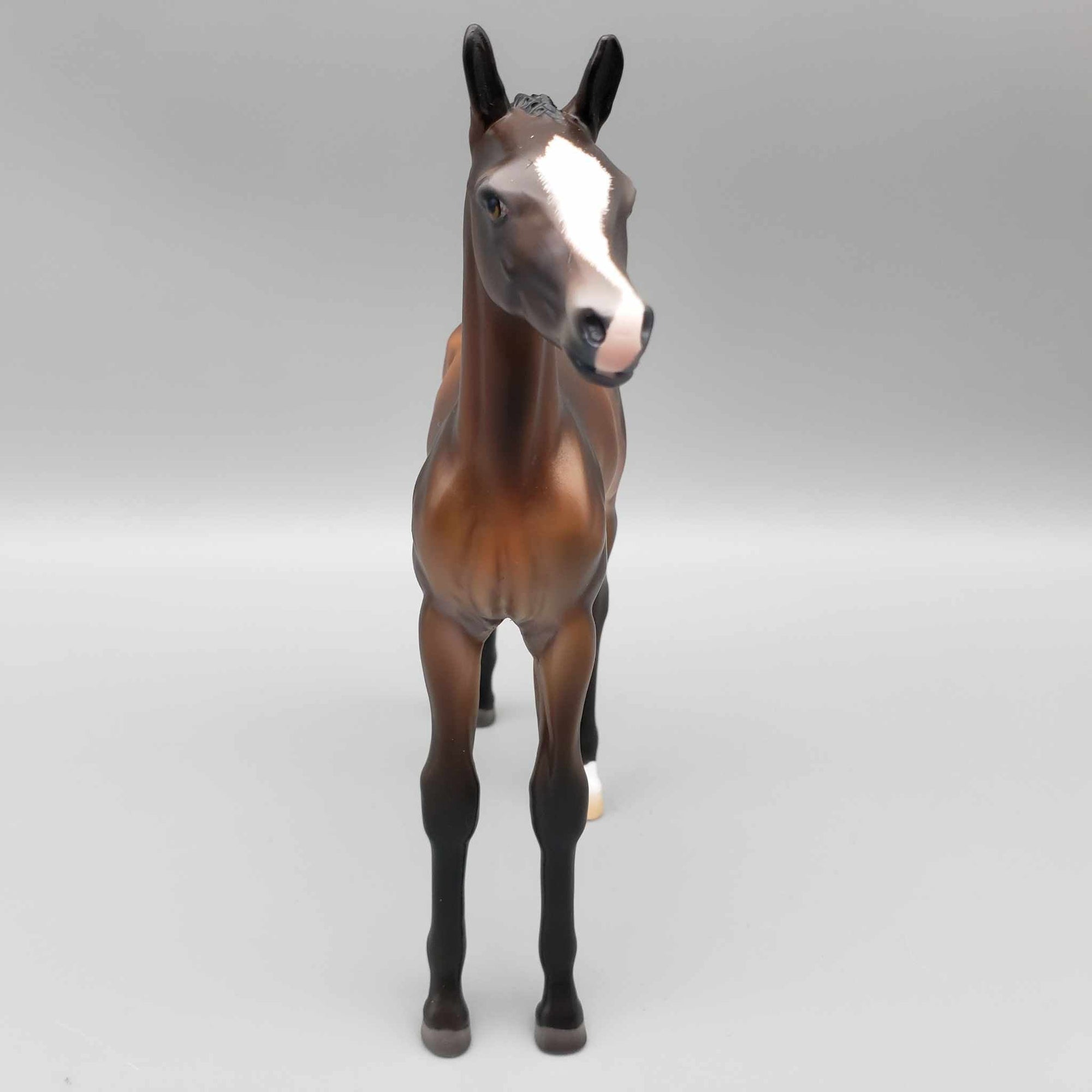 Starborne OOAK Bay Arab Foal By Ashley Palmer Fall Into Autumn Random Drop Sale 9/23