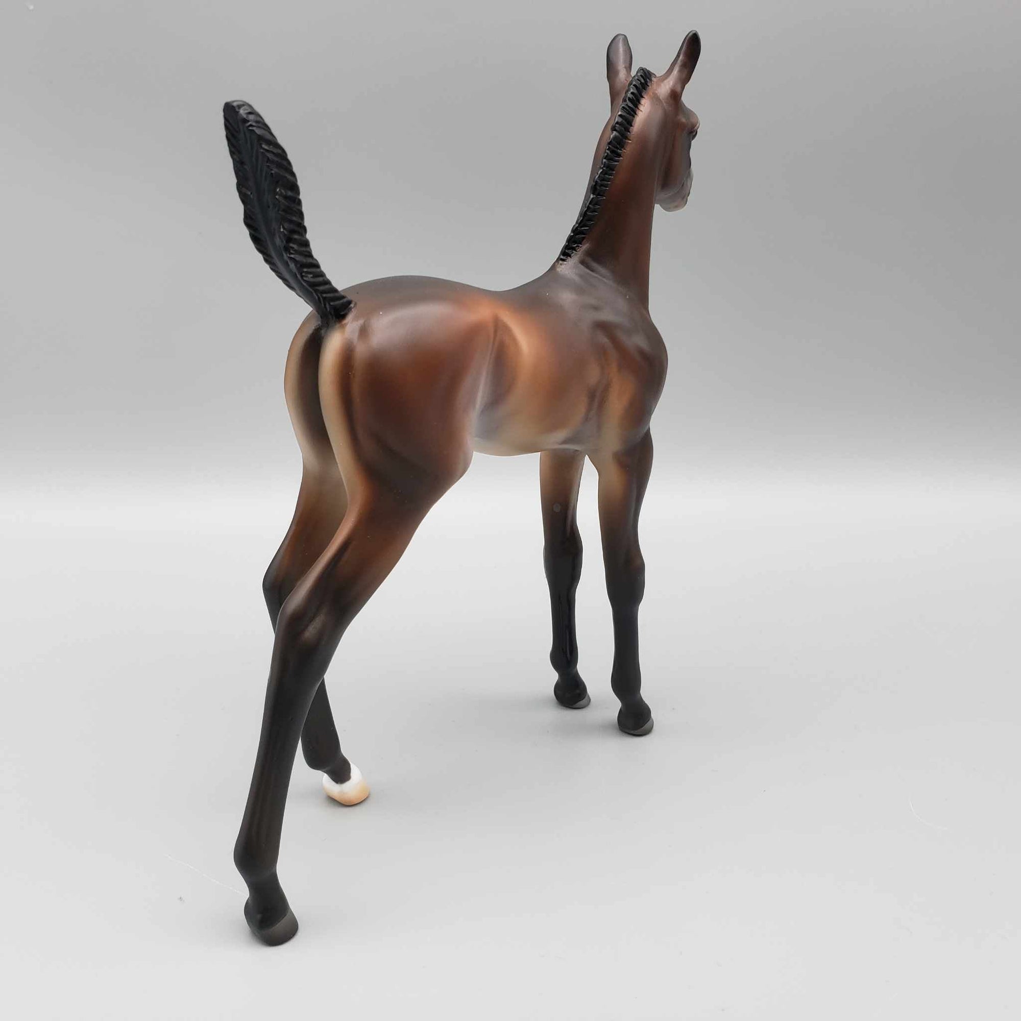 Starborne OOAK Bay Arab Foal By Ashley Palmer Fall Into Autumn Random Drop Sale 9/23