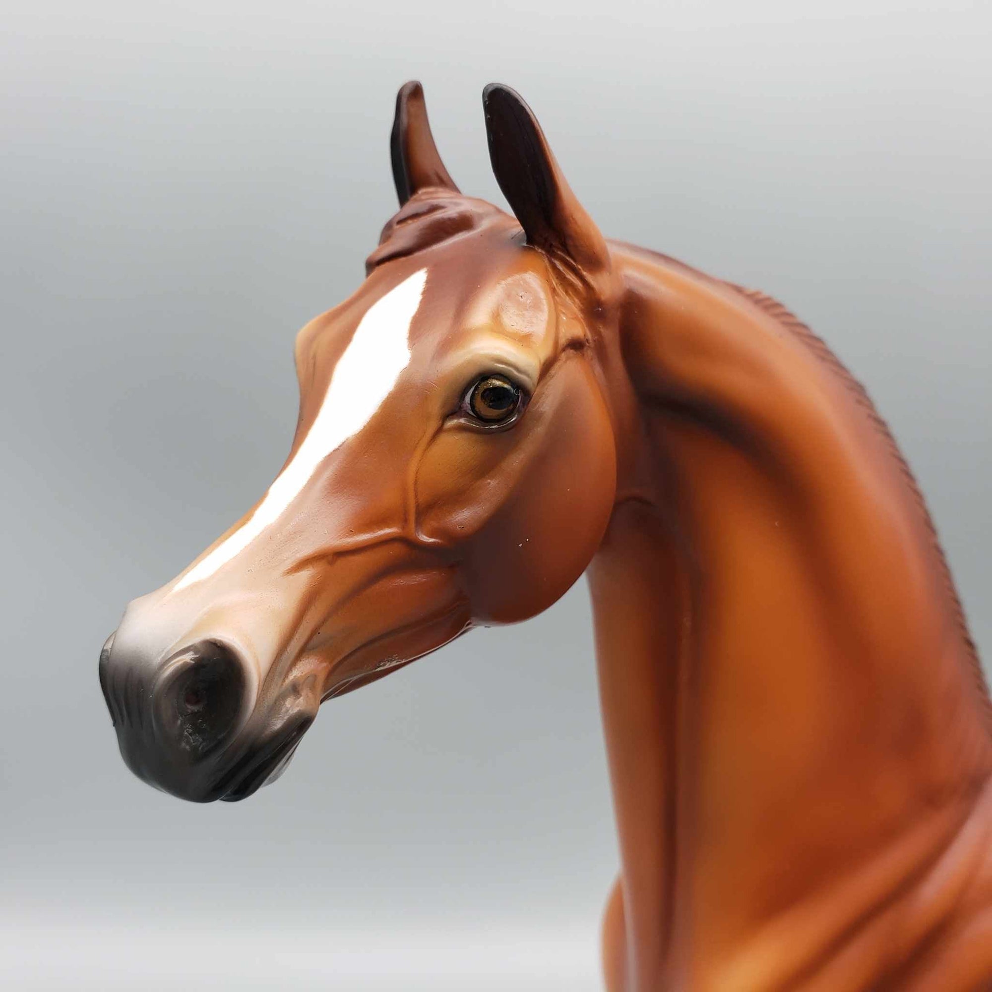 Copper Penny OOAK Chestnut Arabian by Angela Marleau Fall Into Autumn Random Drop Sale 9/23