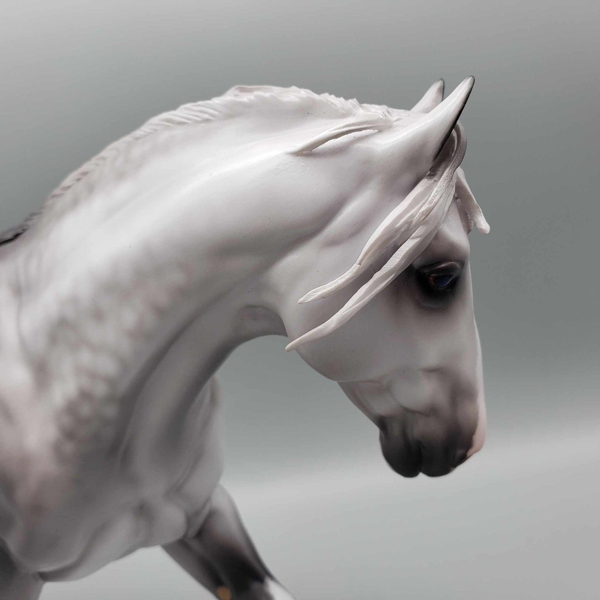 Lockheed OOAK Dappled Grey Irish Cob By Caroline Boydston Best Offer 11/6/23