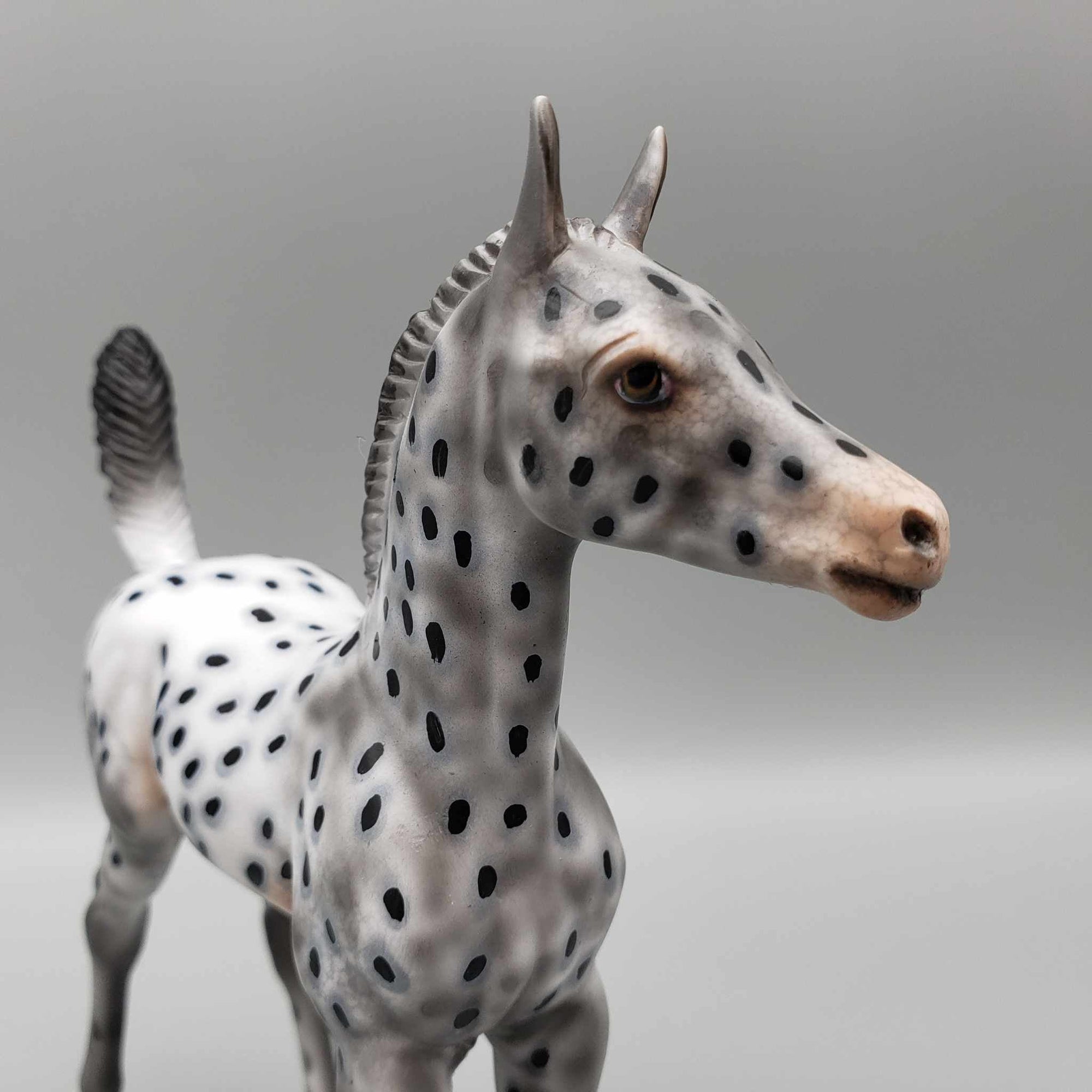 Pebbles OOAK Appaloosa Arab Foal By Dawn Quick Fall Into Autumn Random Drop Sale 9/23
